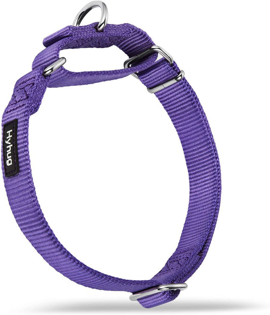 Hyhug Pets Premium Upgraded Heavy Duty Nylon Anti-Escape Martingale Collar for Boy and Girl Dogs Comfy and Safe - Professional Training, Daily Use Walking. (Medium, Ultra Violet)