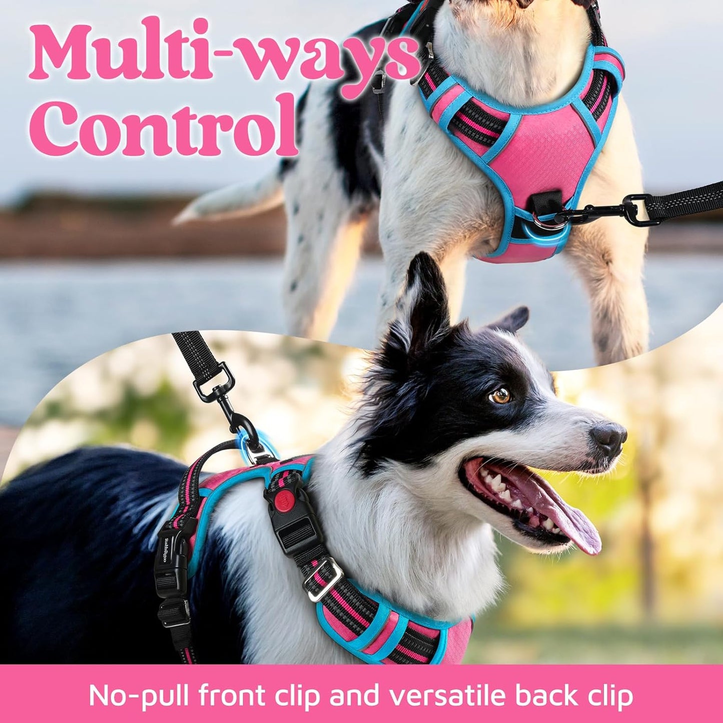 rabbitgoo Dog Harness for Large Dogs, No Pull Pet Vest with 3 Buckles, Adjustable Soft Padded Pet Harness with Easy Control Handle and Reflective Strips, Rose Pink & Blue, XL