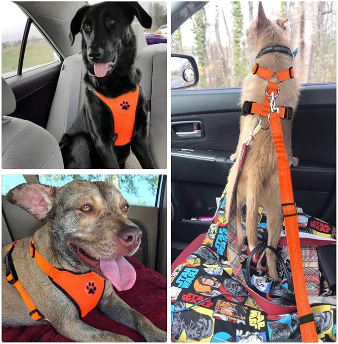 Lukovee Dog Seat Belt - Adjustable Dog Car Harness for Large, Medium, Small Dogs - Soft Padded & Breathable Mesh Dog Seatbelt with Vehicle Connector Strap (Orange, Small)