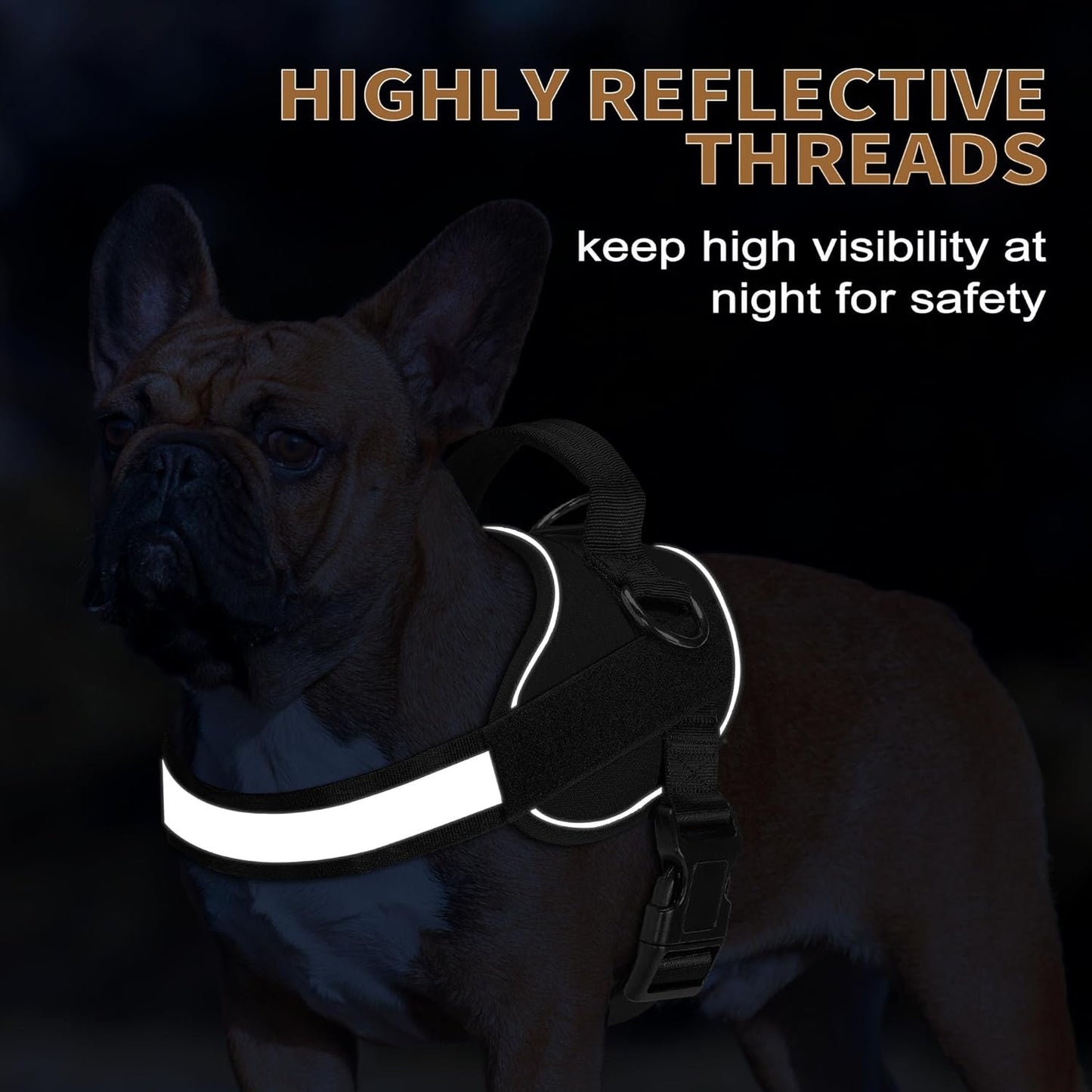 Haapaw Essential Dog Harness, No Pull Pet Vest with 3 Leash Clips, No Choke, Reflective, Adjustable and Padded, for Easy Walking and Training for Small Dogs(S, Black)