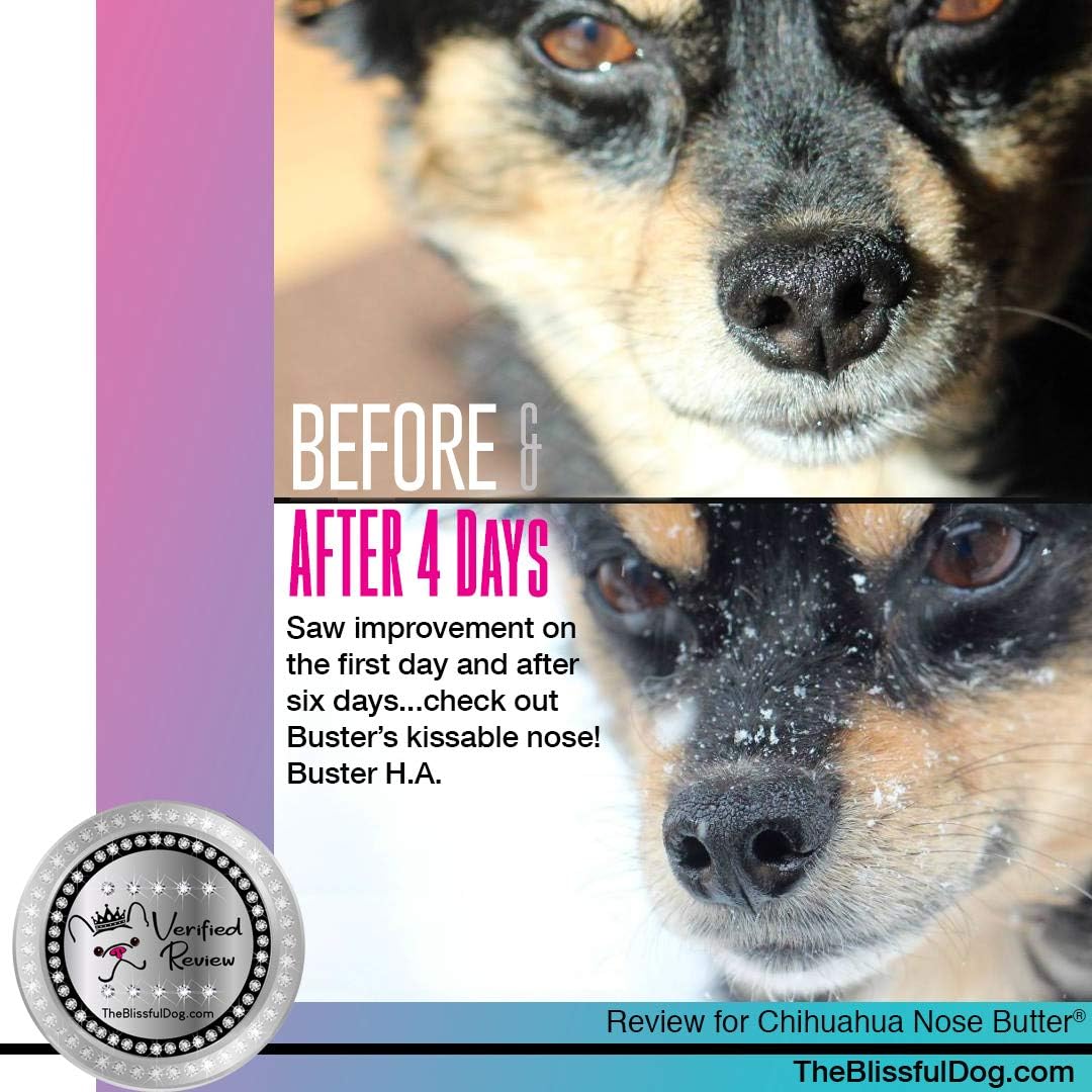 The Blissful Dog Long Coat Chihuahua Nose Butter for Dry, Cracked Skin, Lick-Safe Dog Nose Balm with Moisturizing Shea Butter, Almond, Olive, and Essential Oils, Pet Supplies, Uncented, 0.50 oz.