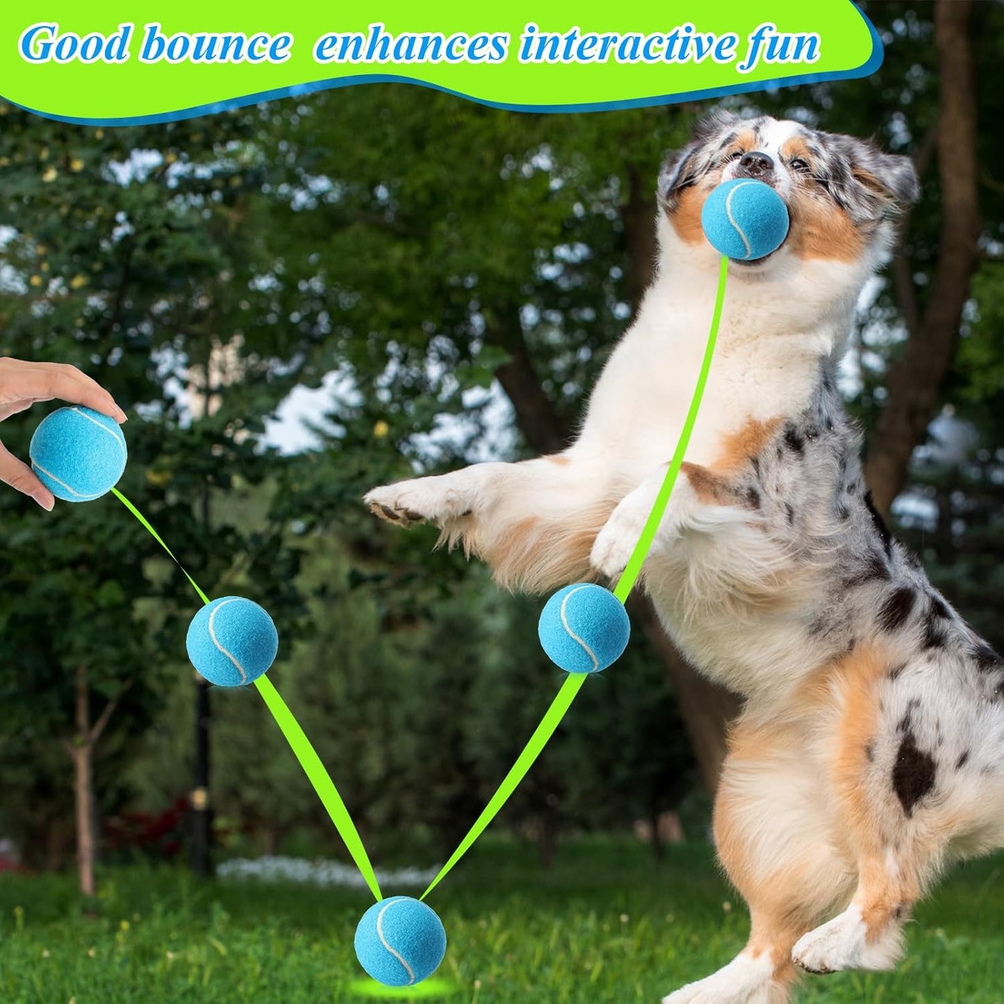 Skylety 40 Pcs 2.5 inch Squeaky Tennis Balls Bulk for Dogs Bouncy Floatable Tennis Balls Dog Playing Supplies Training Interactive Fetch Toys for Small Medium Puppy Exercise and Practice (Multicolor)