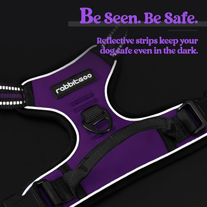 rabbitgoo Dog Harness, No-Pull Pet Harness with 2 Leash Clips, Adjustable Soft Padded Dog Vest, Reflective No-Choke Pet Oxford Vest with Easy Control Handle for Large Dogs, Purple, L