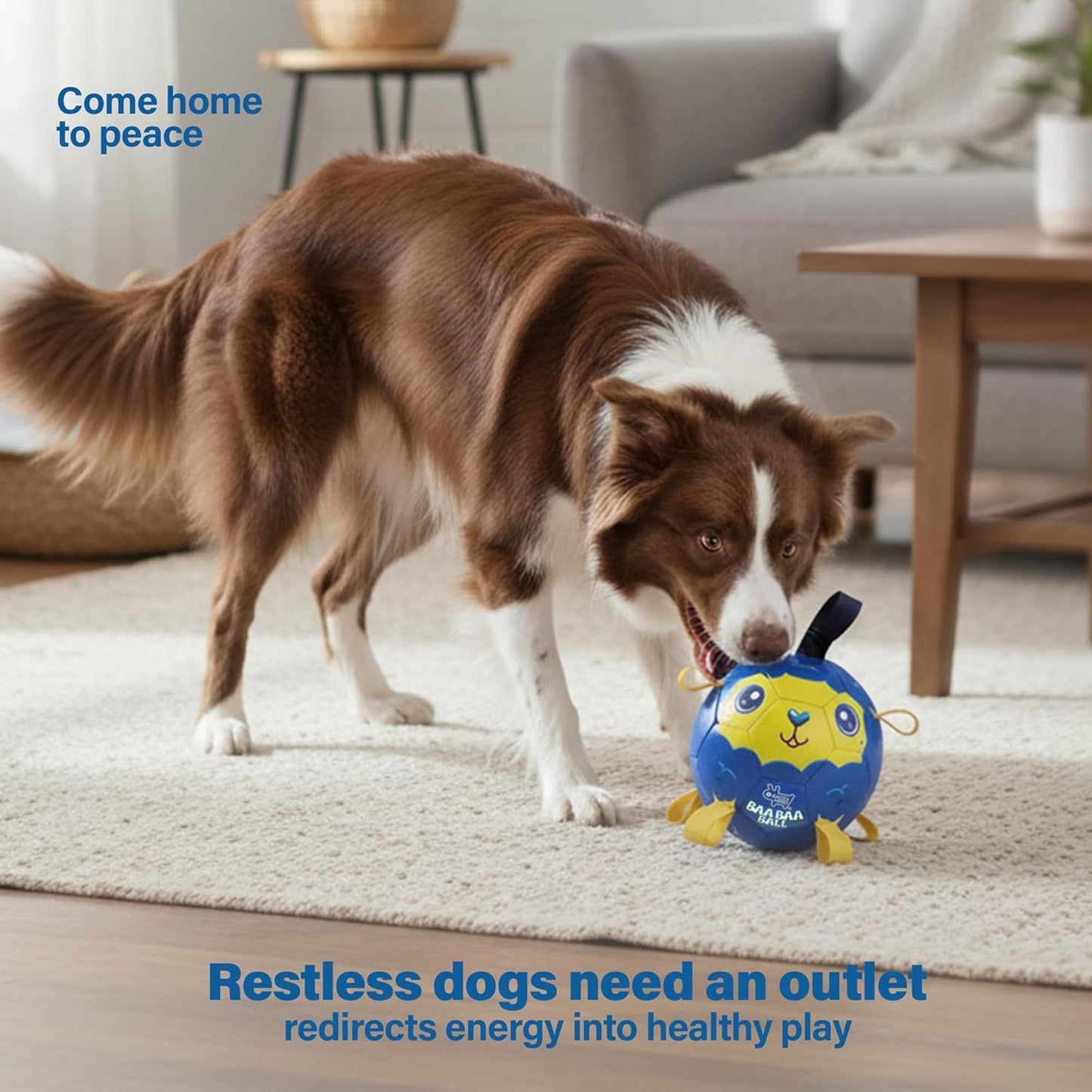 Race&Herd 8" Jolly Soccer Ball for Dogs - Tough Durable Dog Ball Toy with Straps, Pet Bouncy Herding Balls for Dogs, Floating Dog Balls with Tags for Water Fetch (BaaBaaBall, Mama Sheep)