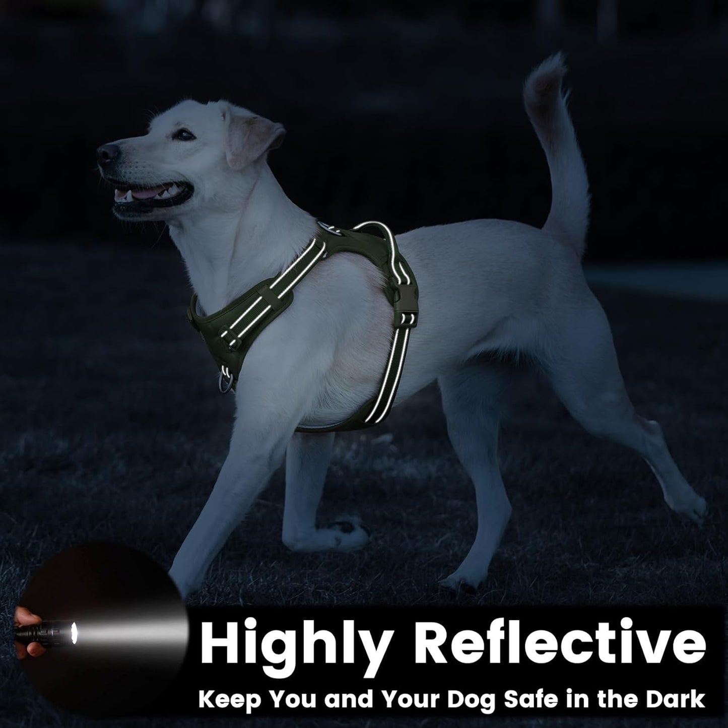 No Pull Dog Harness, Reflective Puppy Vest for Small Medium Large Sized Dog (Misty Green,L)