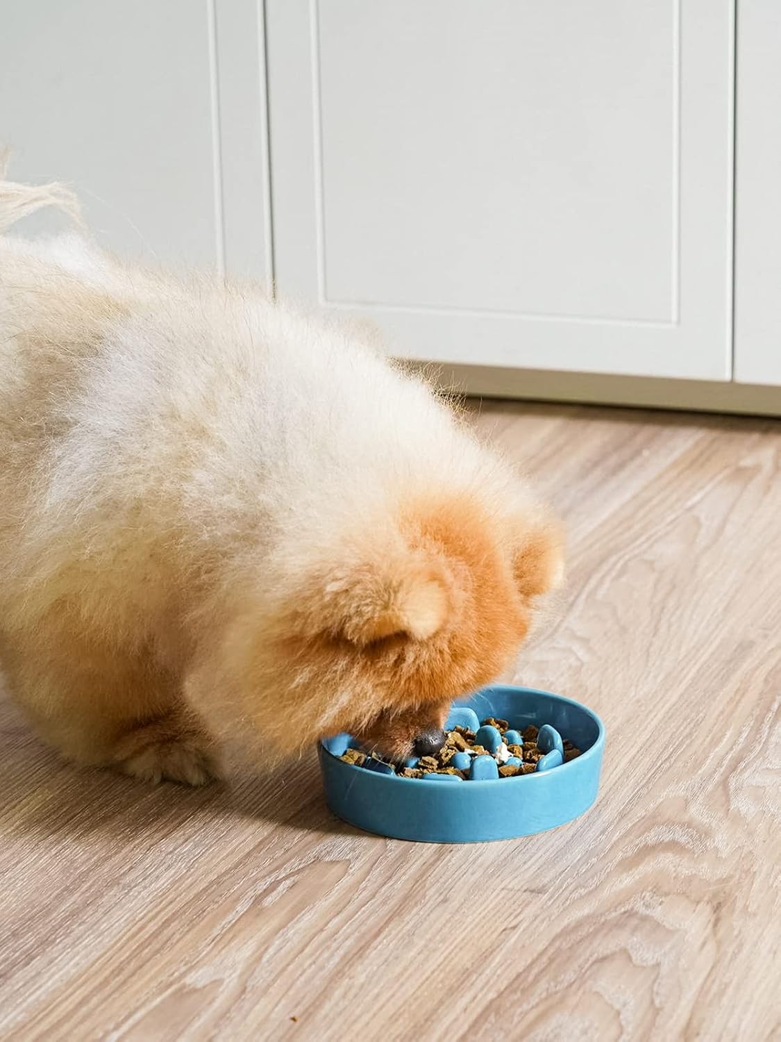 LE TAUCI Ceramic Slow Feeder Dog Bowls Small Breed, 0.6 Cups Dog Food Dish for Fast Eaters, Puzzle Bowl for Small Dogs and Cats,Vortex Blue