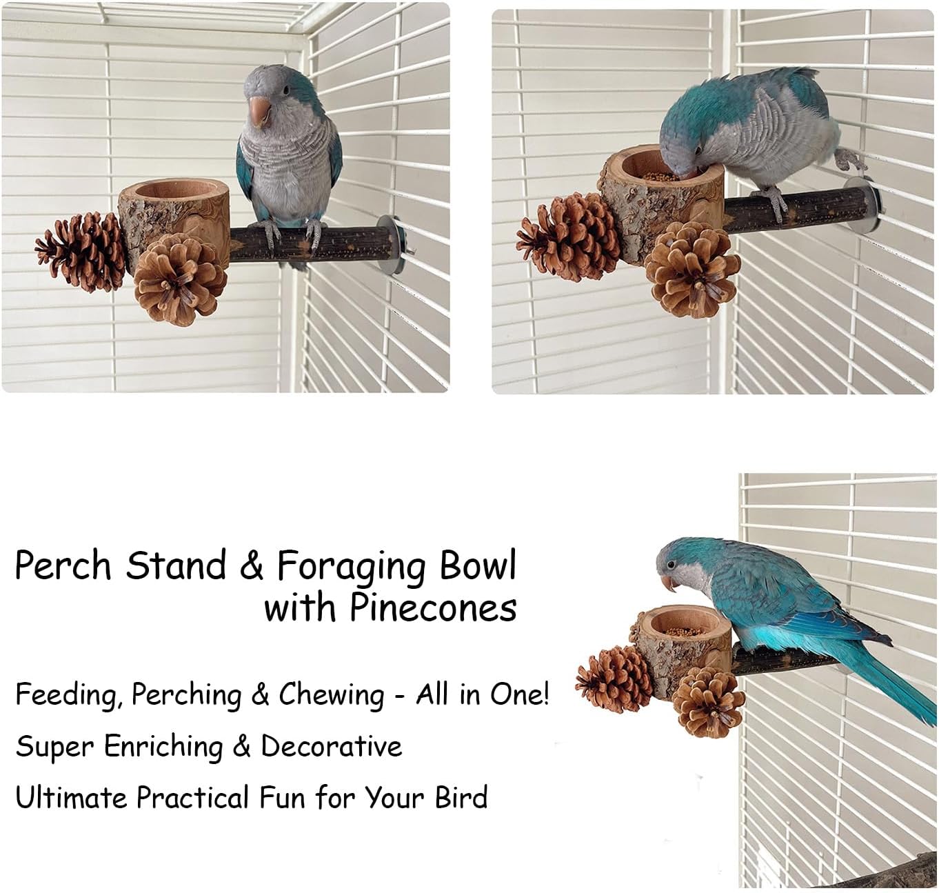 Bird Perch with Safe Bowl Wood & Pinecones - Bird Toys Chew Toys 100% Natural & Durable for Cockatiel, Conure, Budgie, Lovebird, Parakeet - Birdcage Accessory for Foraging & Oral Health