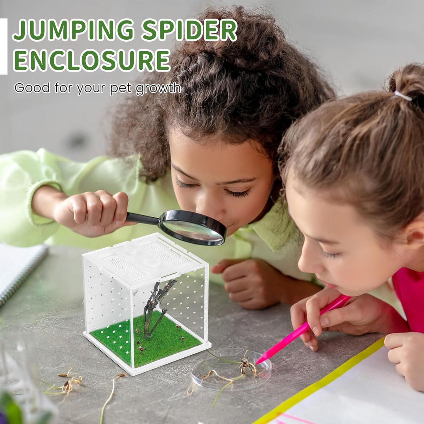 Acrylic Jumping Spider Enclosure, 2.95×2.95×2.87in Transparent Reptile Terrarium, Versatile Tarantula Enclosure for Small Reptiles/Insects, Small Reptile Tank with Dropper, Jumping Spider Accessories