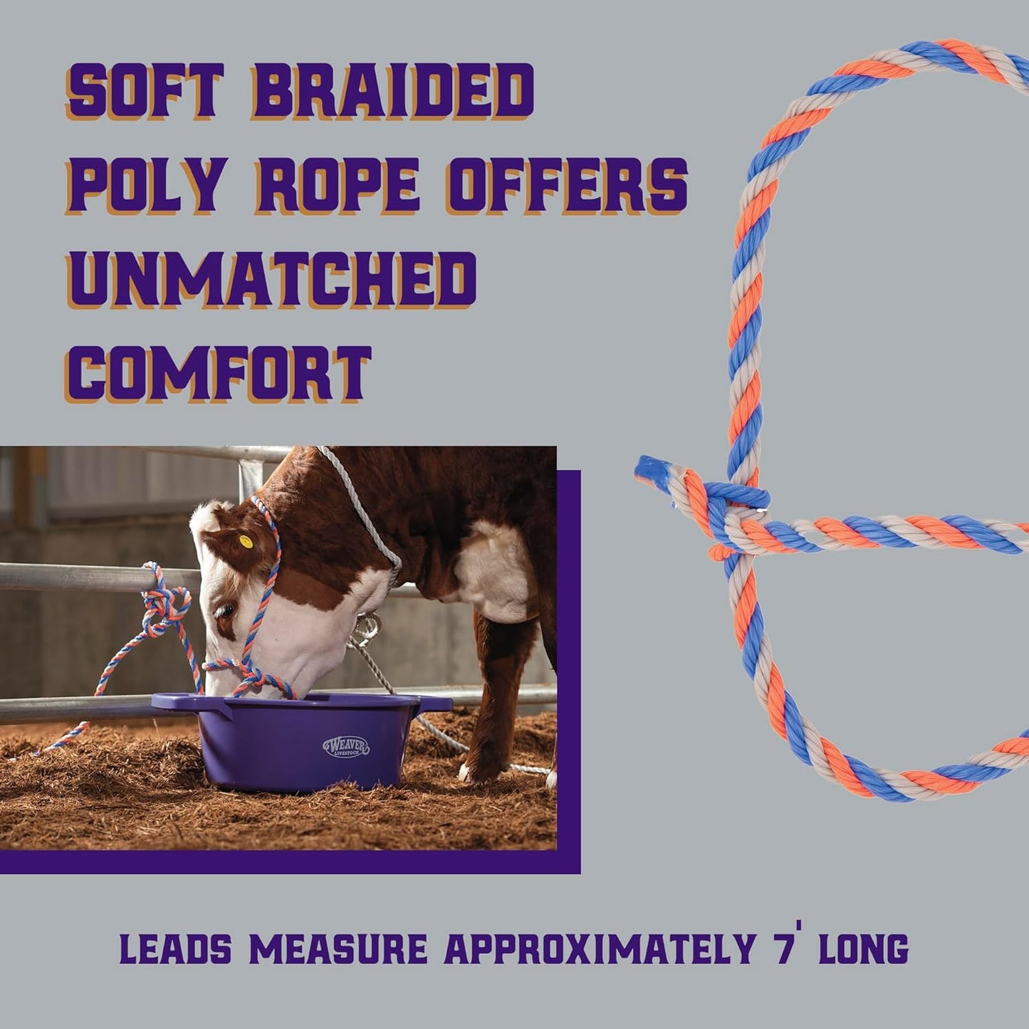 Weaver Livestock Braided Poly Rope Cattle Halter, Adjustable, Modern Style Cow Calf Halter, Livestock Handling Equipment for Showing, Blue/Coral/Gray