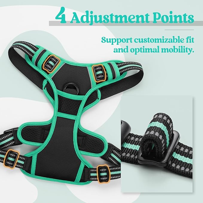 rabbitgoo Dog Harness No Pull with 2 Leash Clips, Adjustable Soft Padded, Reflective Oxford No Choke Pet Vest with Easy Control Handle for Small Dogs, Black & Turquoise, S