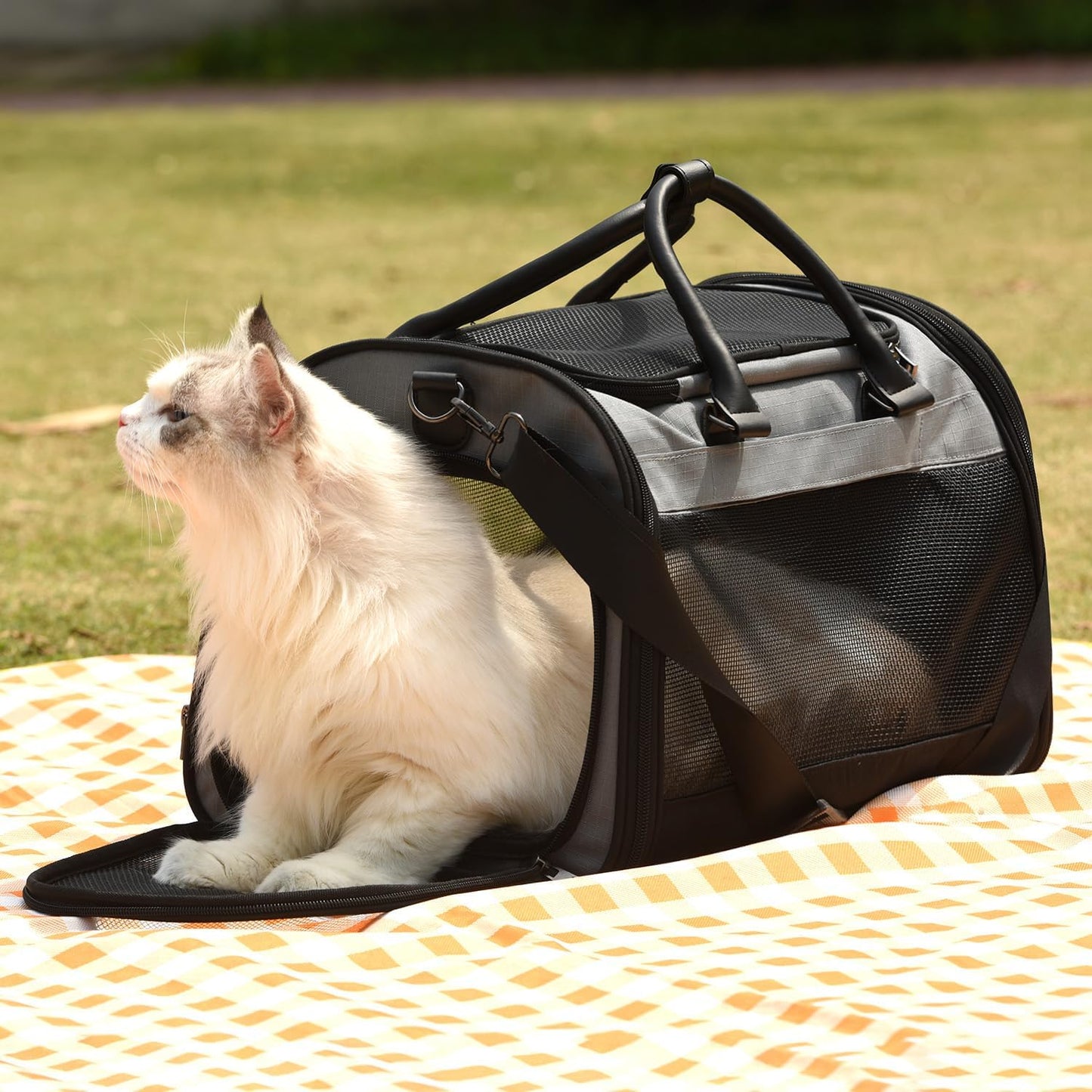 PET MARVEL Cat Carrier Soft Sided for Small Medium Cats Puppy up to 15 Lbs, Airline Approved Mesh Pet Travel Bag, Breathable Bite-Resistant Fabric with Removable Washable Mat