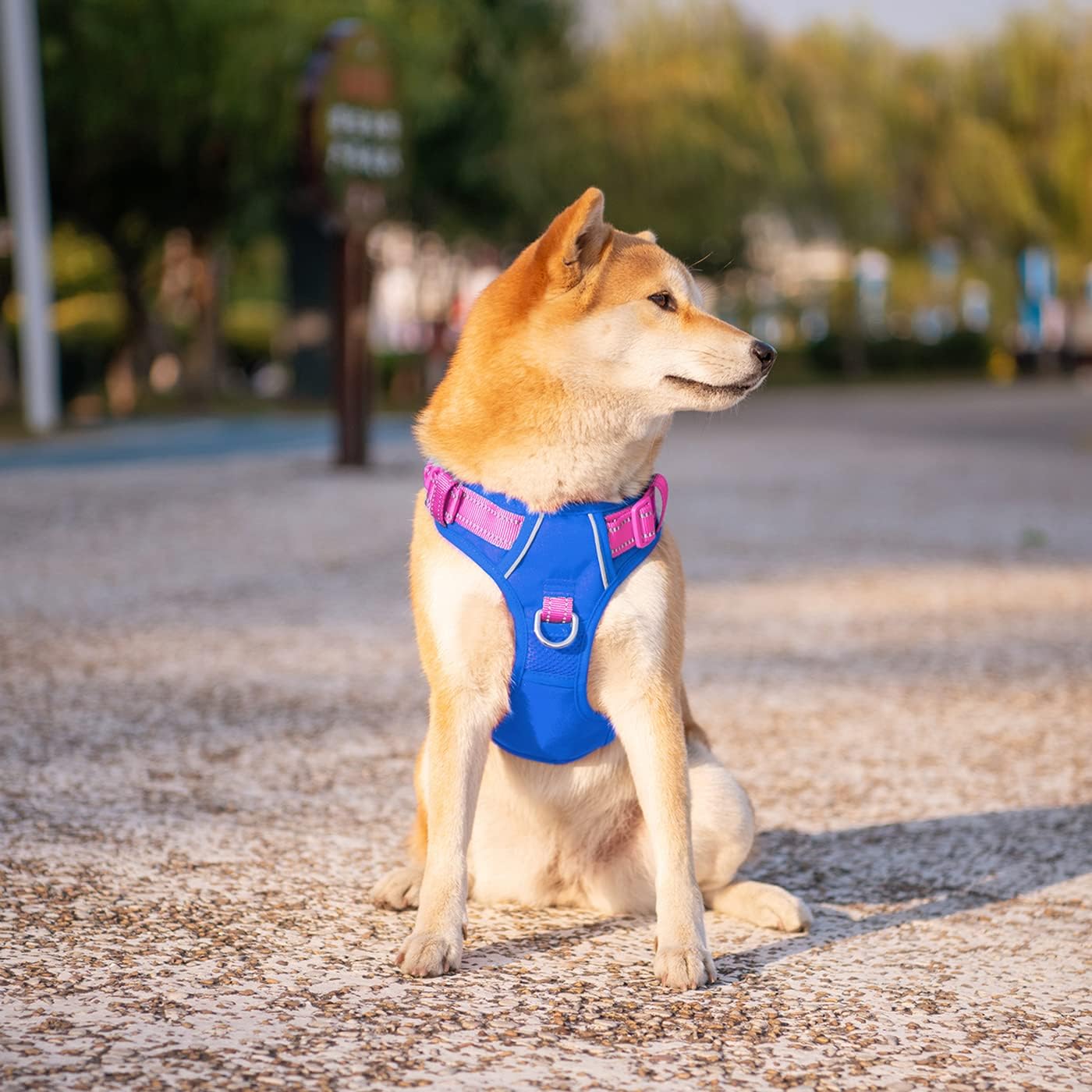 PHOEPET No Pull Dog Harness, Unique Colors Reflective Adjustable Dog Vest, with Soft Training Handle Metal Clips for Small Medium Large Dogs (Royal Blue Base & Pink Straps,L)