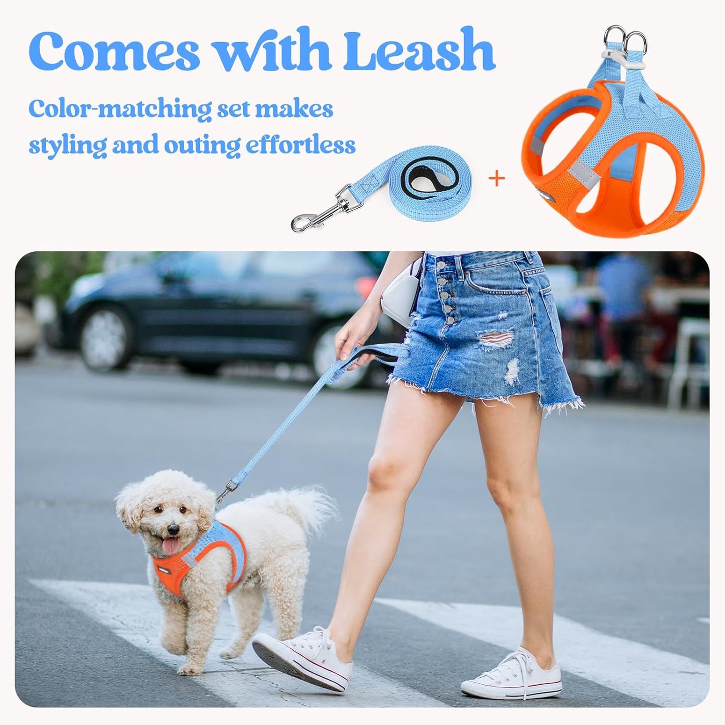 rabbitgoo Dog Harness Medium Sized and Leash Set, Step in Soft Light Puppy Vest, Breathable Mesh Pet Harness, Reflective for Safe Easy Walking, Blue & Orange XXL
