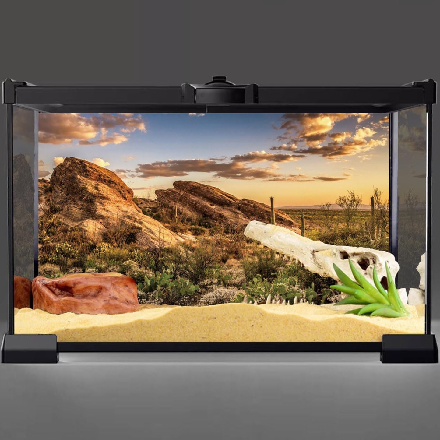 AWERT Reptile Habitat Background Blue Sky Oasis Cactus Sun and Desert Terrarium Background 60x24 inches Durable Polyester Background