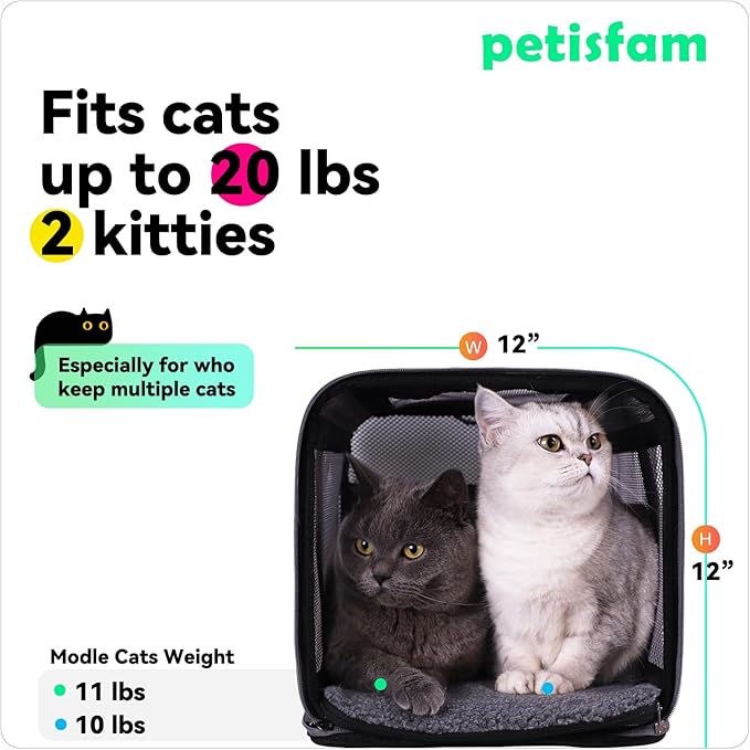 petisfam Easy Load Pet Carrier for Large, Medium Cats, 2 Cats and Small Dogs with Comfy Bed. Easy to Get Cat in, Escape Proof, Easy Storage, Washable, Safe and Comfortable for Vet Visit and Car Ride