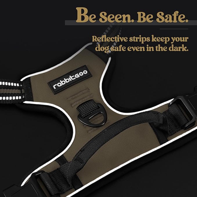 rabbitgoo Dog Harness No Pull with 2 Leash Clips, Adjustable Soft Padded, Reflective Oxford No Choke Pet Vest with Easy Control Handle for Medium Sized Dogs, Beige, M