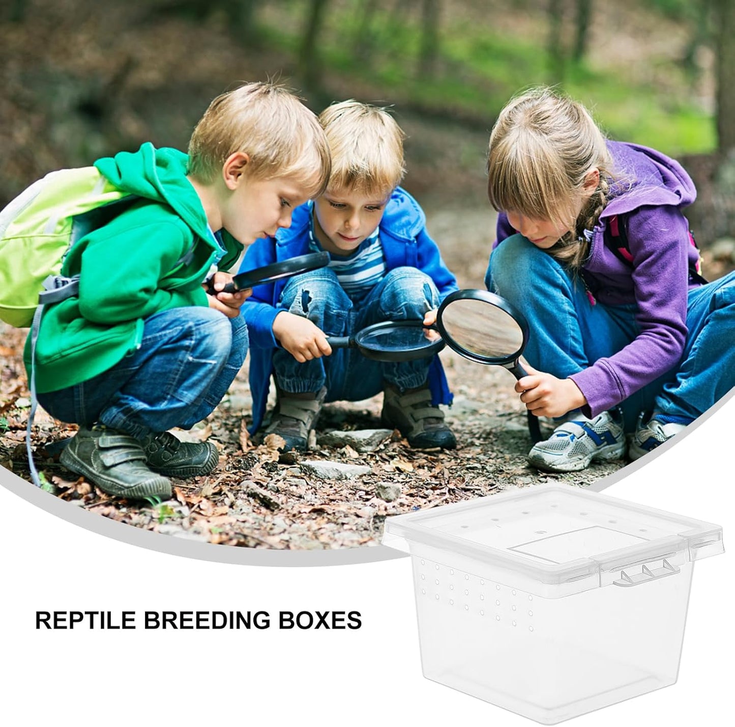 balacoo Reptile Feeding Box: 100Pcs Reptile Breeding Box Plastic Transparent Feeding Enclosure Case Hatching Container with Lid for Spider Scorpion Gecko Snake Tortoise