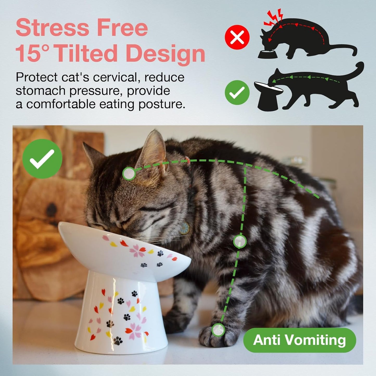 Necoichi Extra Wide Raised Cat Food Bowl, Elevated Cat Bowls to Prevent Neck & Whisker Fatigue, Dishwasher and Microwave Safe, No.1 Seller in Japan! (Sakura Limited Edition, Extra Wide Tilted)