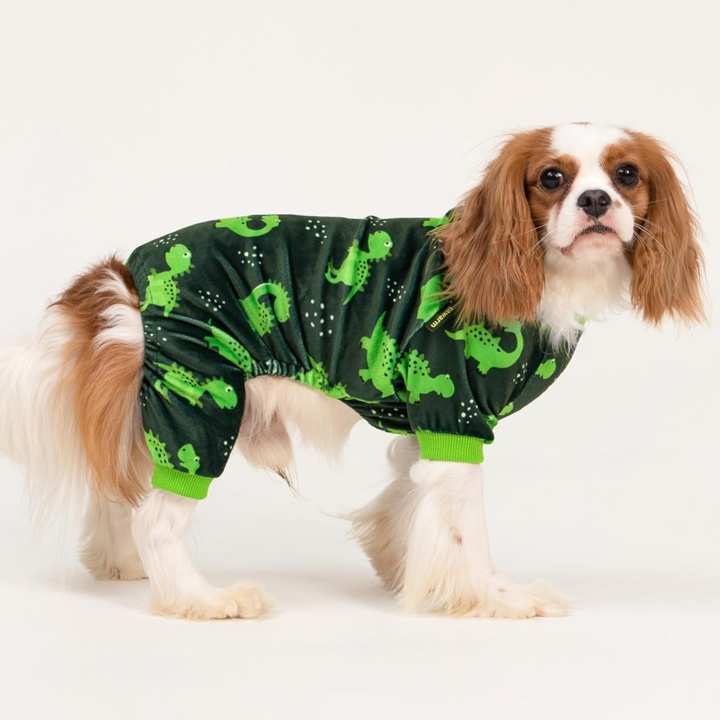 Fitwarm Dinosaur Dog Fleece Pajamas, Warm Clothes for Small Dogs Boy, Cozy Pet Onesie with Feet, Dark Green, Bright Green, XL