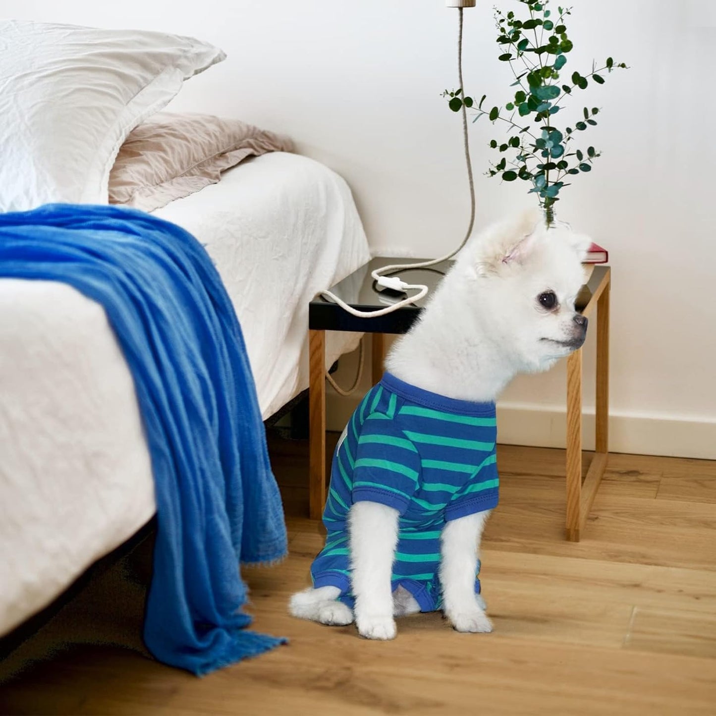 TONY HOBY Dog Pajamas for Female/Male, Dog Jumpsuit with Stripes for Small Medium Dogs, Soft and Comfortable 4 Legged Pajamas Dogs Clothes (Blue&Green, Boy, S)