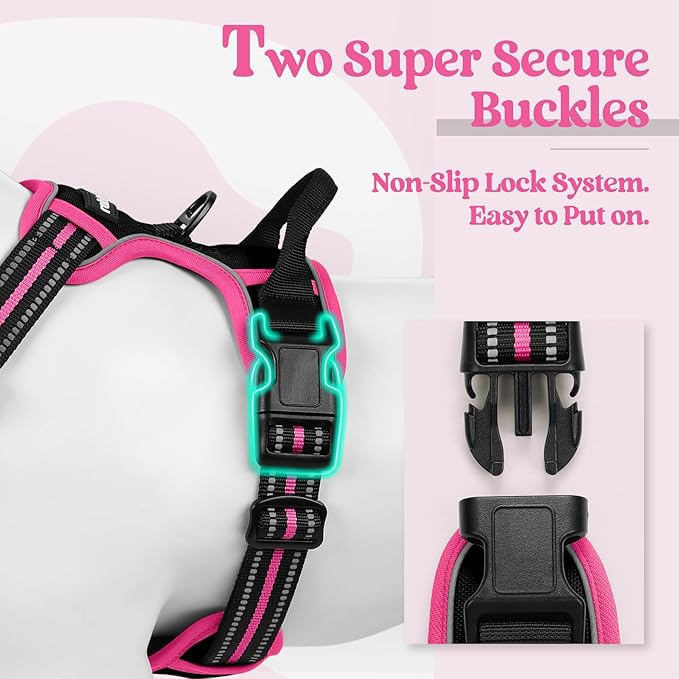 rabbitgoo Dog Harness No Pull with 2 Leash Clips, Adjustable Soft Padded, Reflective Oxford No Choke Pet Vest with Easy Control Handle for Large Dogs, Black & Hot Pink, M