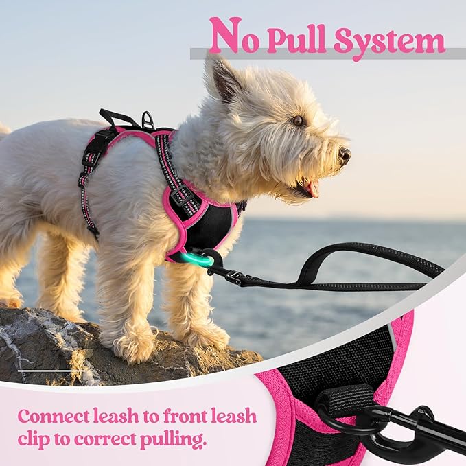 rabbitgoo Dog Harness No Pull with 2 Leash Clips, Adjustable Soft Padded, Reflective Oxford No Choke Pet Vest with Easy Control Handle for Large Dogs, Black & Hot Pink, XS