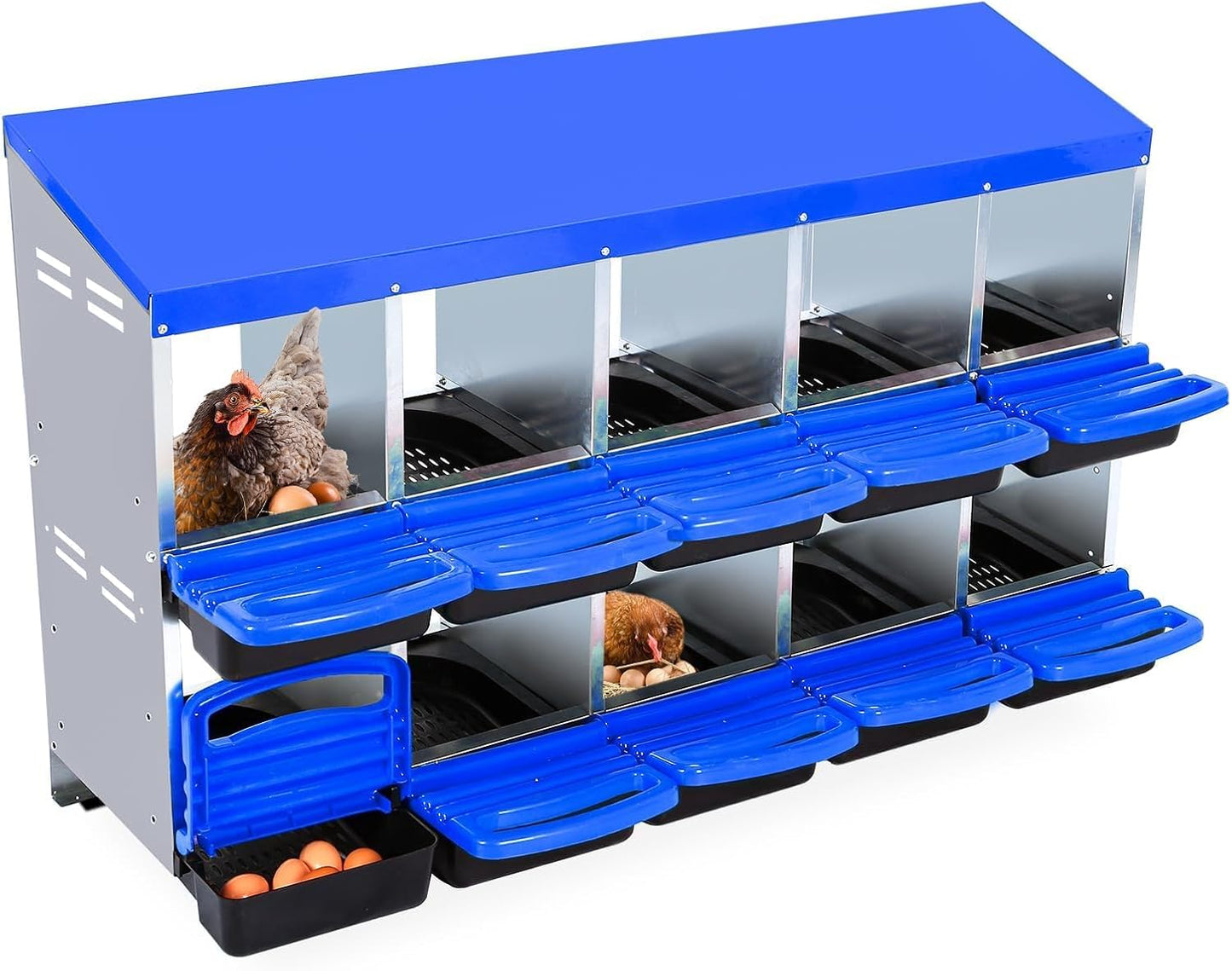 Chicken Nesting Boxes, 10 Hole Metal Chicken Laying Box with with Removable Trays and Roll Out Egg Collection for Chicken Coop, Blue