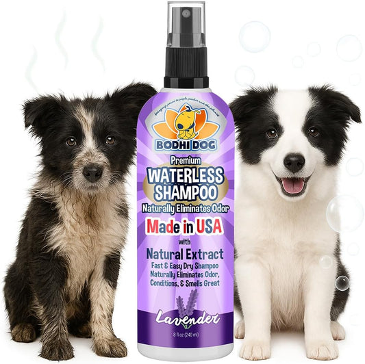 Bodhi Dog Waterless Shampoo - Natural Dry Shampoo for Dogs & Cats - Neutralizes Pet Odor - No Rinse Required - Made of Natural Extracts - Safe for Sensitive Skin - Made in USA - Lavender (8 Fl Oz)