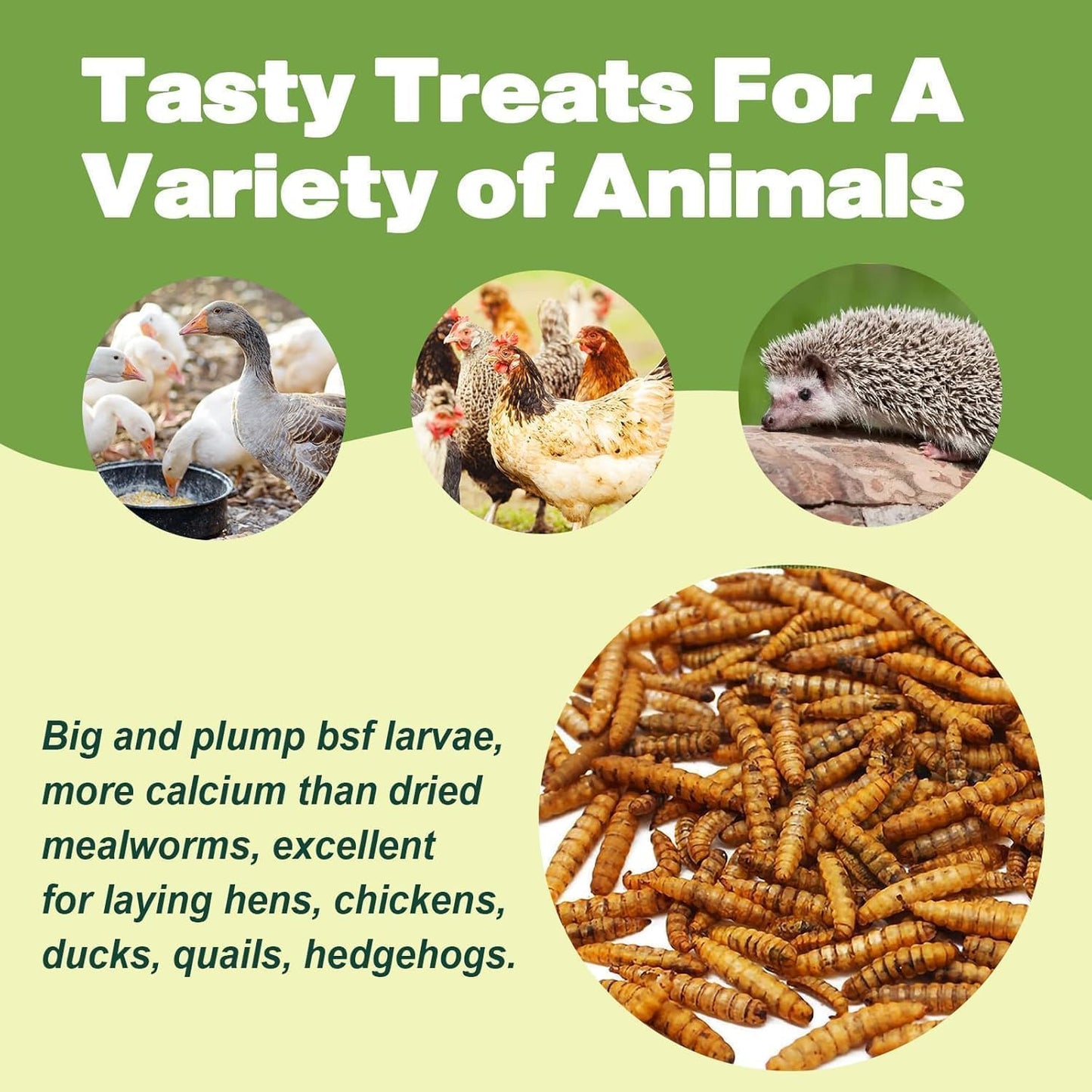 20LB Dried Black Soldier Fly Larvae, 86X Calcium Than Dried Mealworms, High Protein Non-GMO Organic Chicken Feed