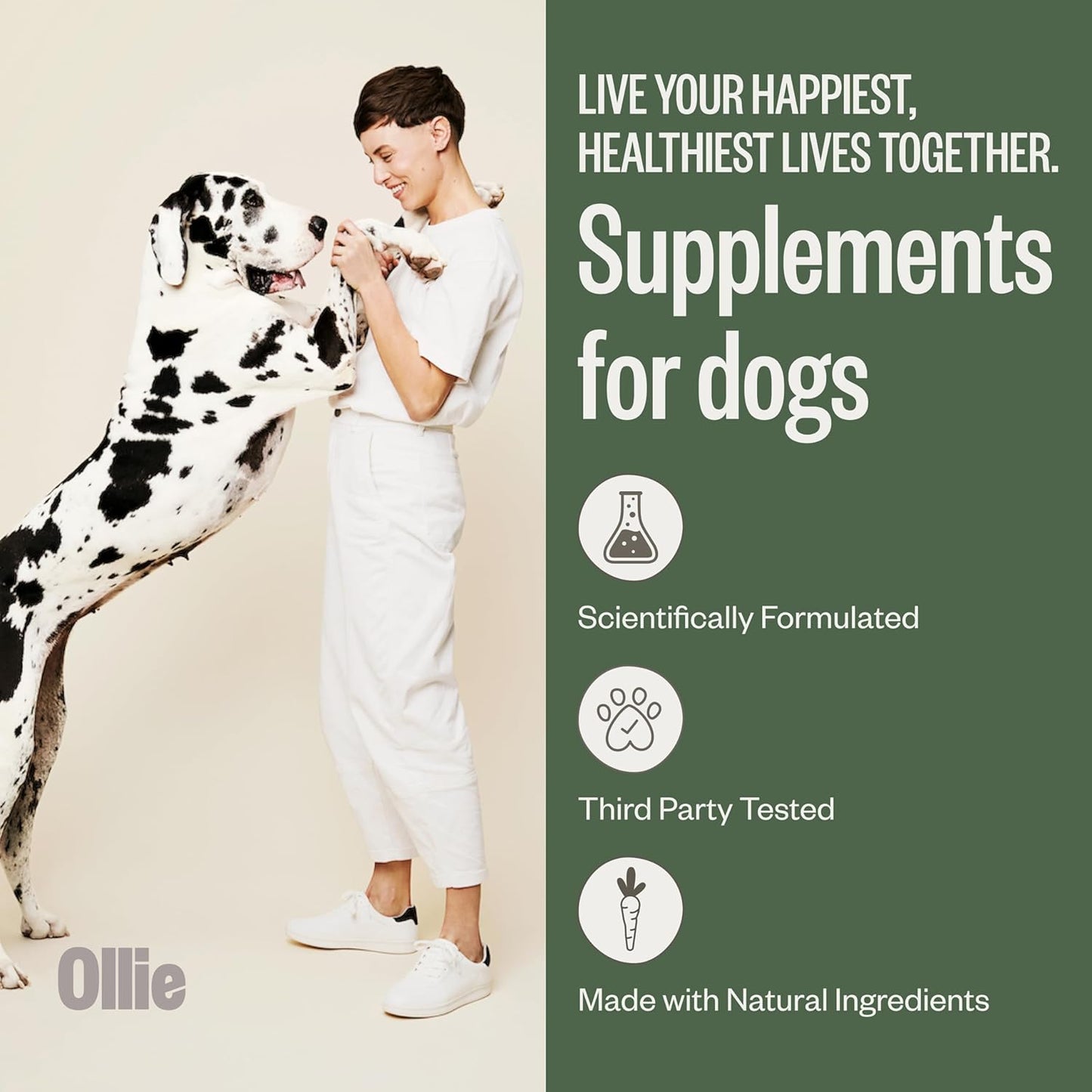 Ollie Belly Rubs, Probiotic Dog Chews, Digestive Health, Natural Ingredients, for Upset Stomach Relief, Appx. 60 Count