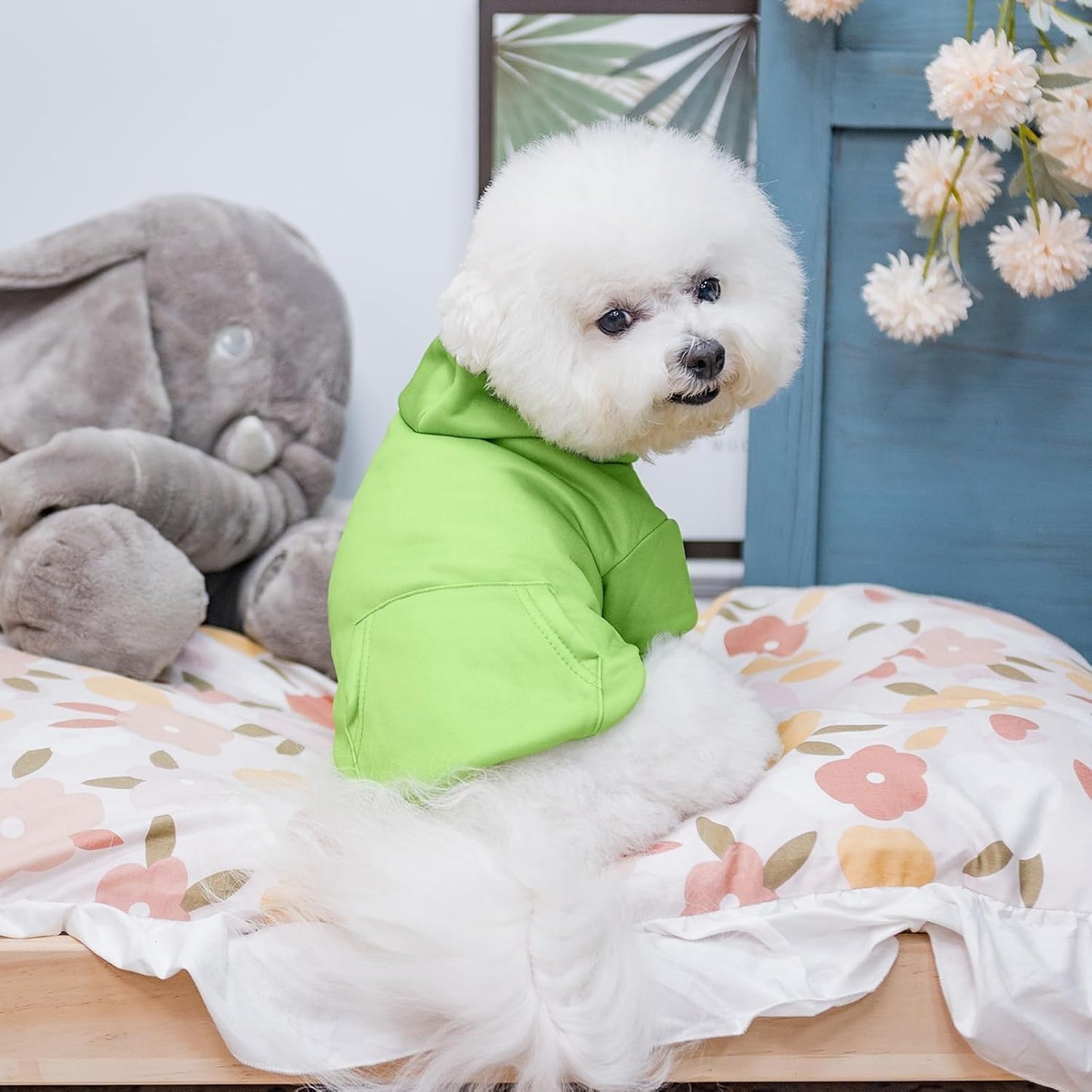 KOOLTAIL Basic Dog Hoodie - Soft & Warm Dog Hoodie Sweater with Leash Hole and Pocket, Dog Winter Coat, Cold Weather Clothes Sweatshirt for Small Medium Large Dogs Puppy Cat Boys Girls Green M