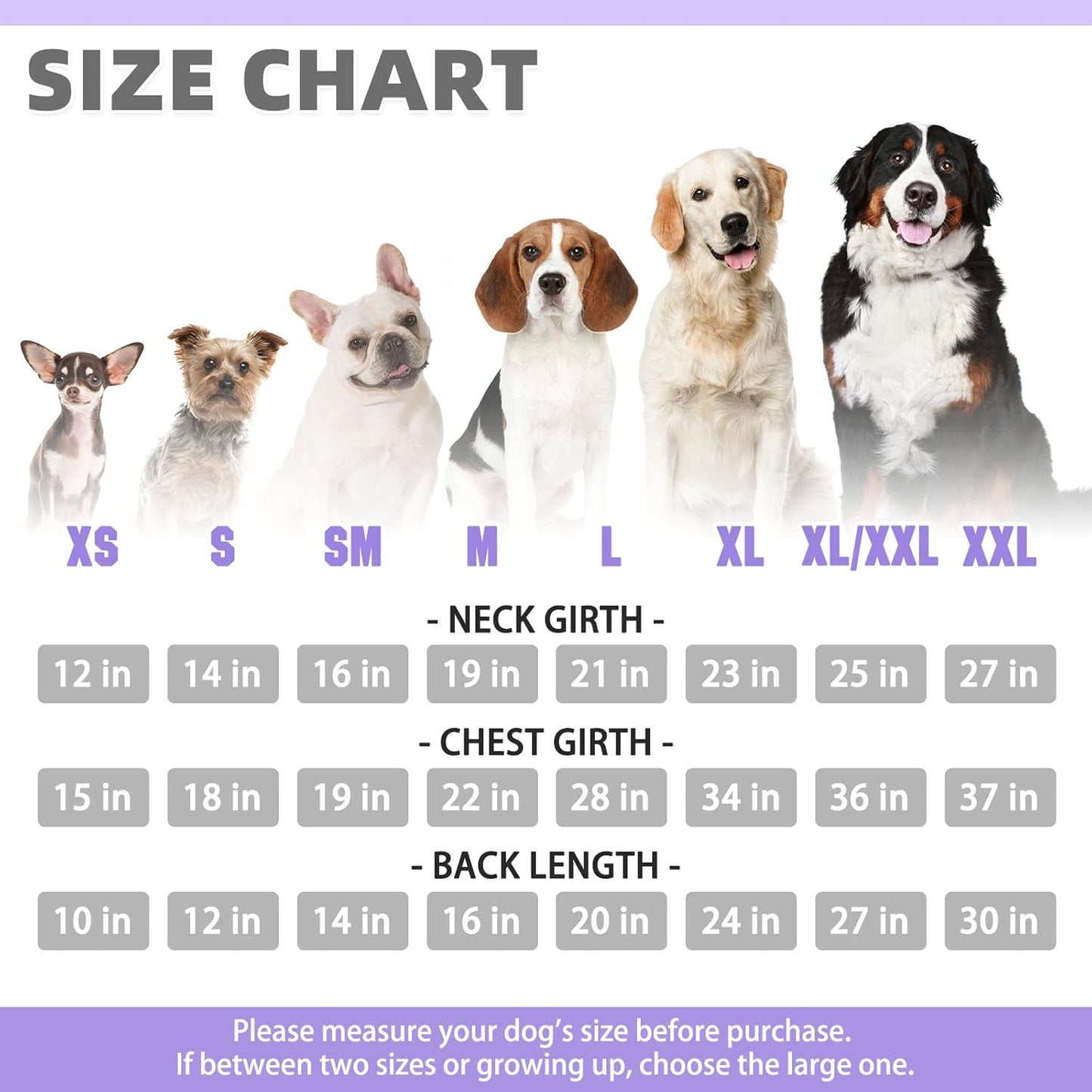 KOOLTAIL Basic Dog Hoodie - Soft & Warm Dog Hoodie Sweater with Leash Hole and Pocket, Pet Winter Coat, Cold Weather Clothes Sweatshirt for Small Medium Large Dogs Puppy Cat Boys Girls Lavender XL/XXL