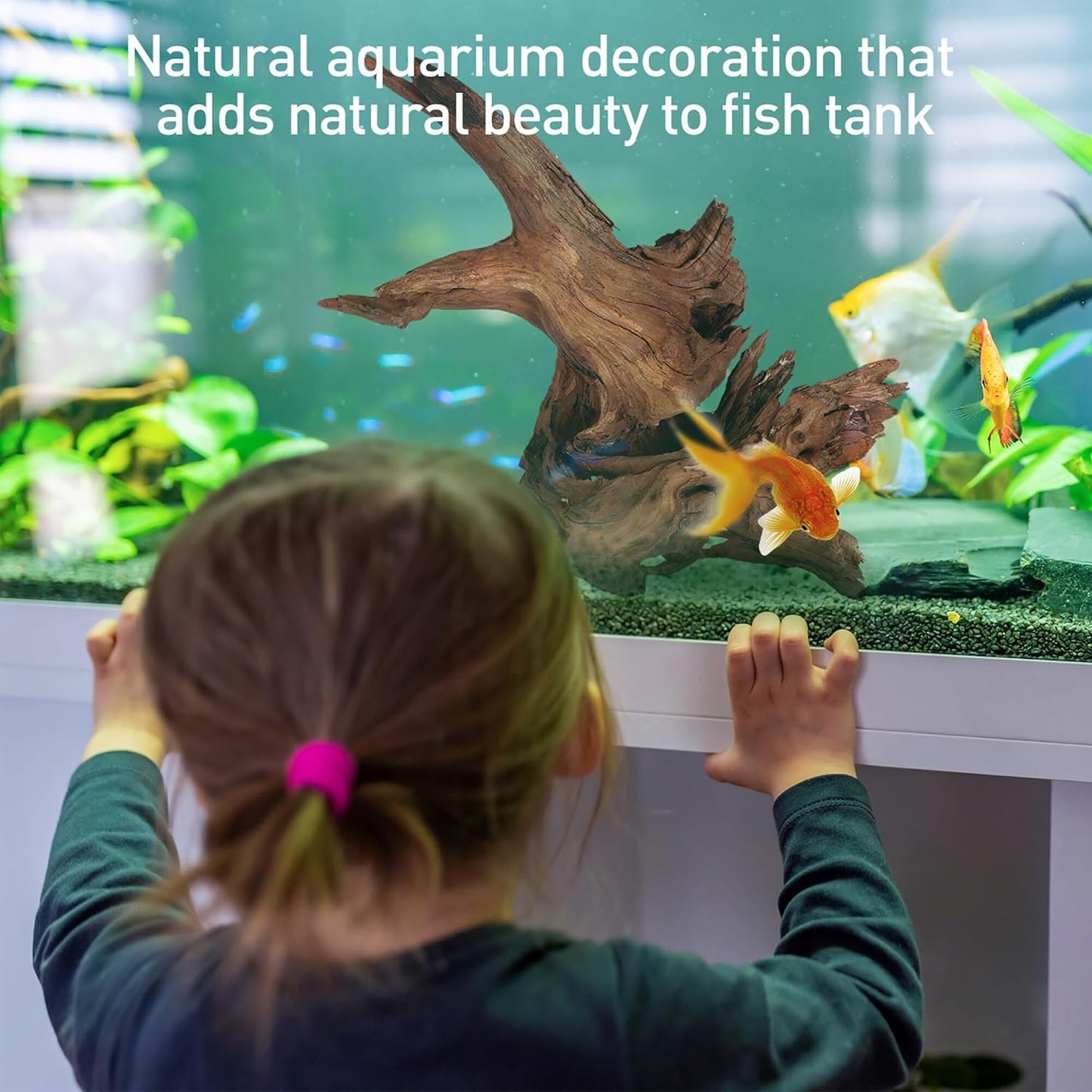 WDEFUN Natural Driftwood for Aquarium Decor, 10-Piece 2''-5'' Small Driftwood for Decorations on Fish Tank, Reptiles Bearded Dragon Accessories or Air Plants