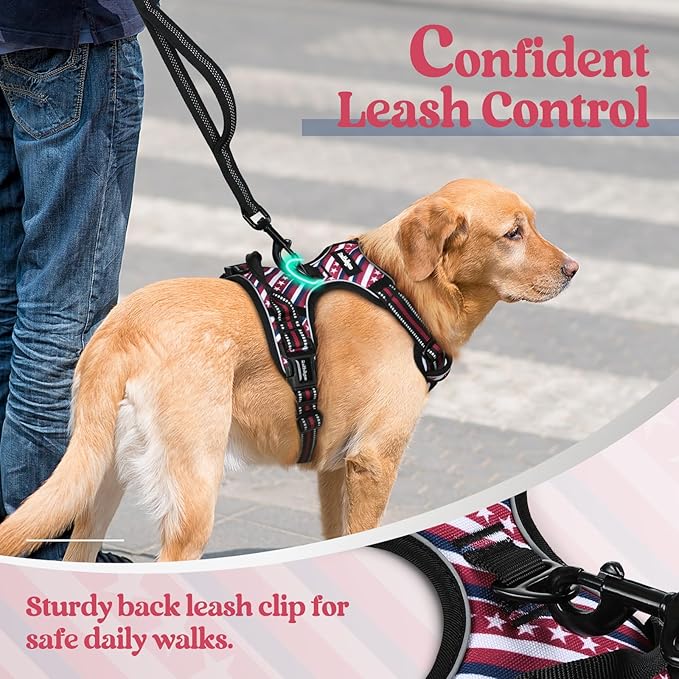 rabbitgoo Dog Harness No Pull with 2 Leash Clips, Adjustable Soft Padded, Reflective Oxford No Choke Pet Vest with Easy Control Handle for Large Dogs, Red Stripe, L