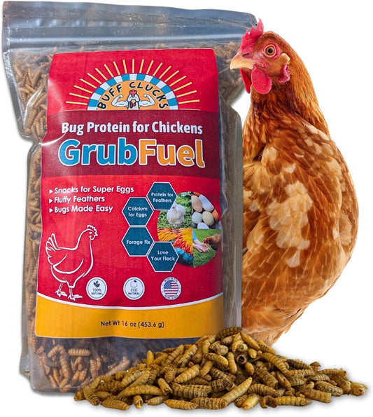 Grub Fuel Black Soldier Fly Larvae for Chickens - Nutrient-Packed BSFL, Sustainably Sourced Snack for Poultry, Rich in Protein, Calcium, Fiber, Essential Fatty Acids, USA Grown (1LB)