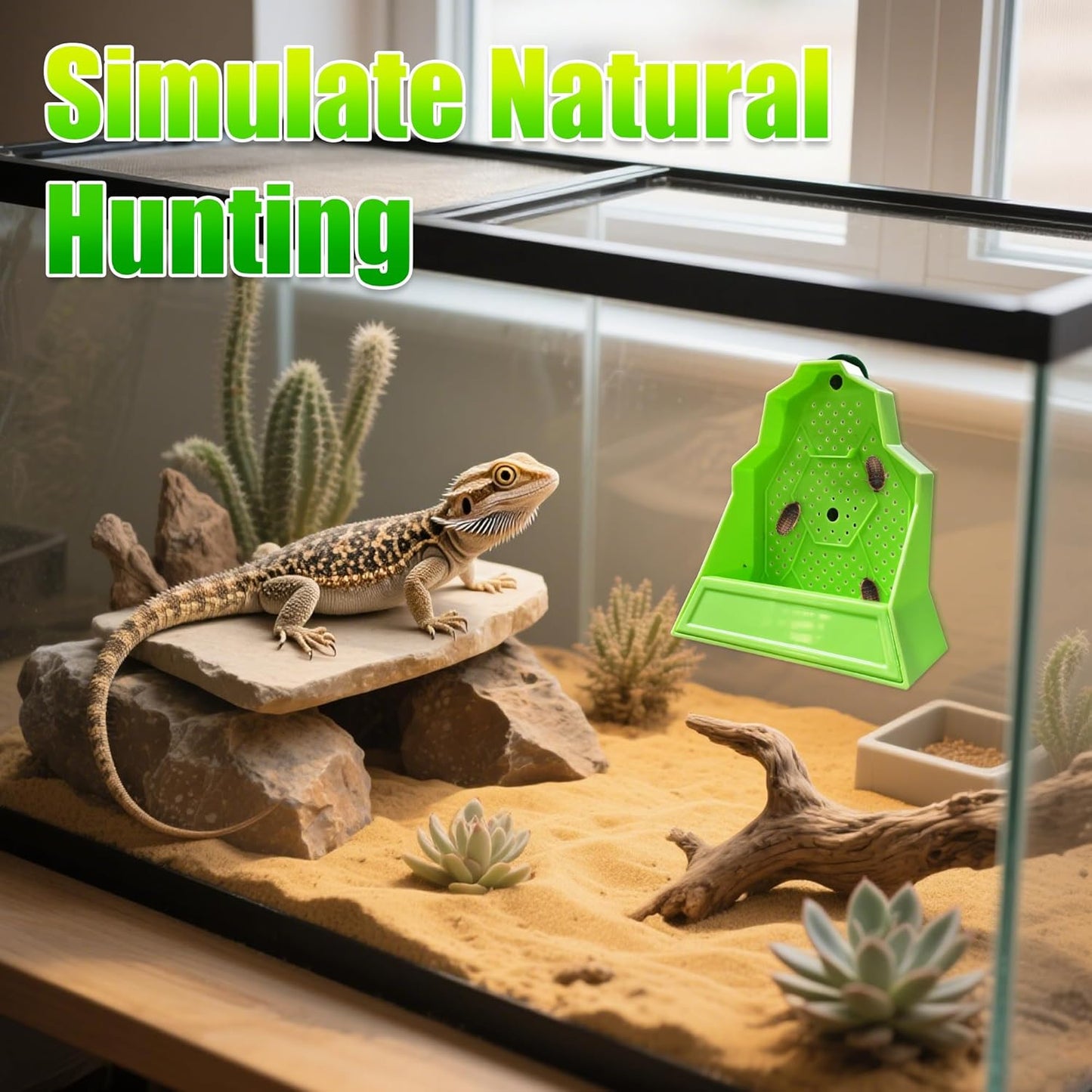 Reptile Anti-Escape Feeding Bowl, Wall-Mounted Feeder for Reptile, Stimulate Hunting Accessories for Terrarium, Vivarium and Paludarium, Suitable for Lizard, Gecko & Frog, Small