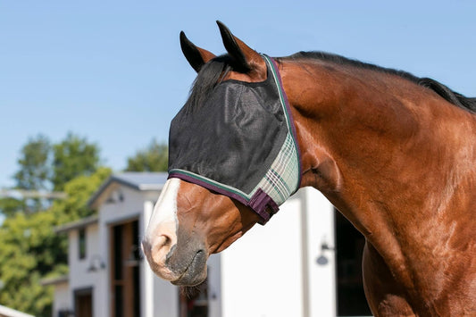 Kensington UViator CatchMask Horse Fly Mask with Web Trim UV Eye Protection Mask for Horse - XL, Imperial Jade