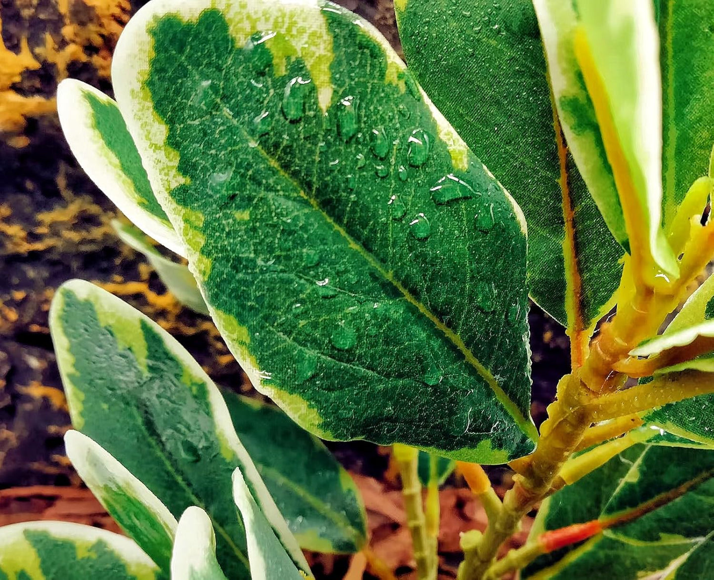 Reptile Plants Terrarium Artificial Leaves Reptile Tank Decorations for Bearded Dragon Lizard Snake Geckos Chameleon Amphibian Habitat Terrarium Decor