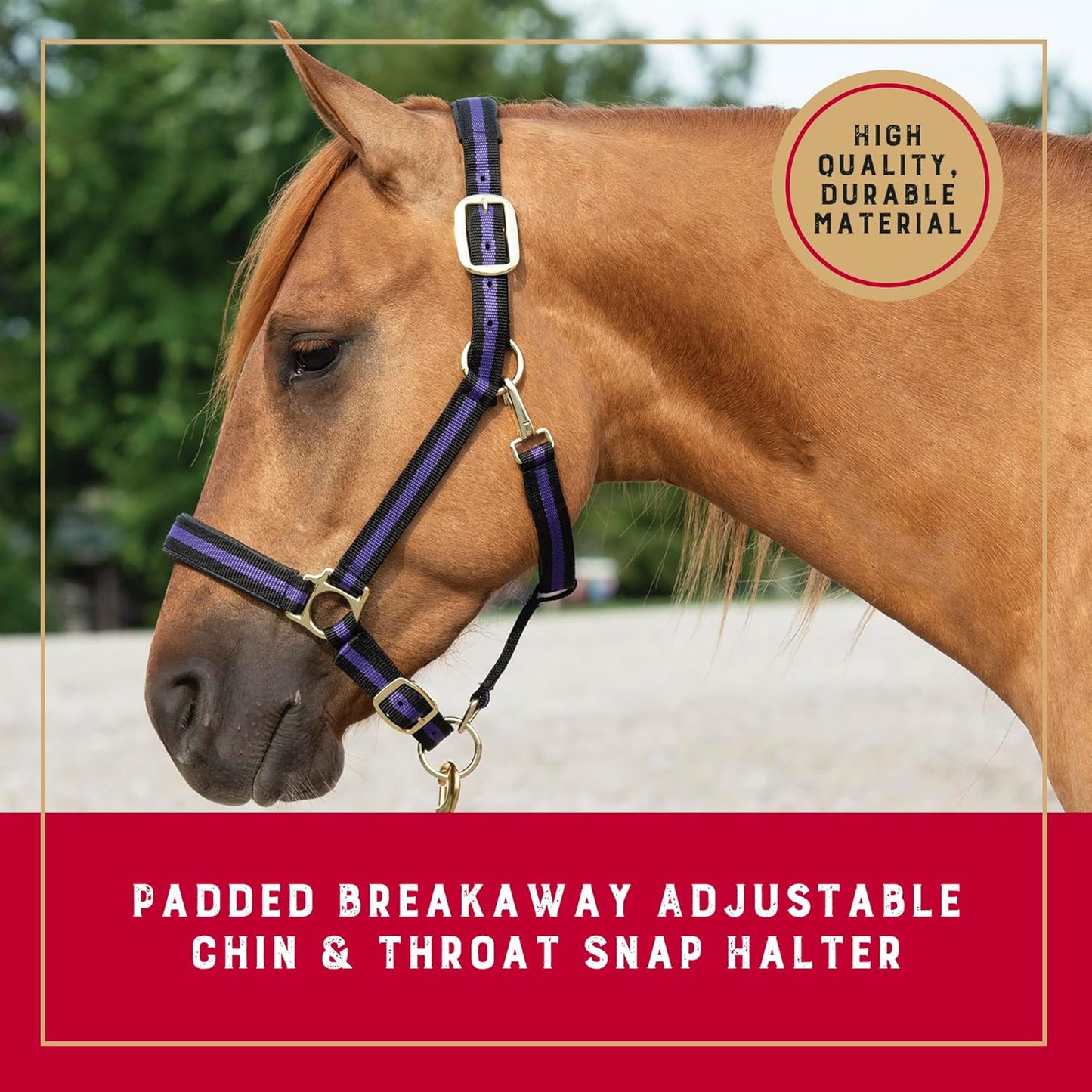 Weaver Equine Breakaway Horse Halter, Comfort Foam Padding, Adjustable Chin & Throat Snap Halters for Horses, Equine Tack,Average Size, Purple