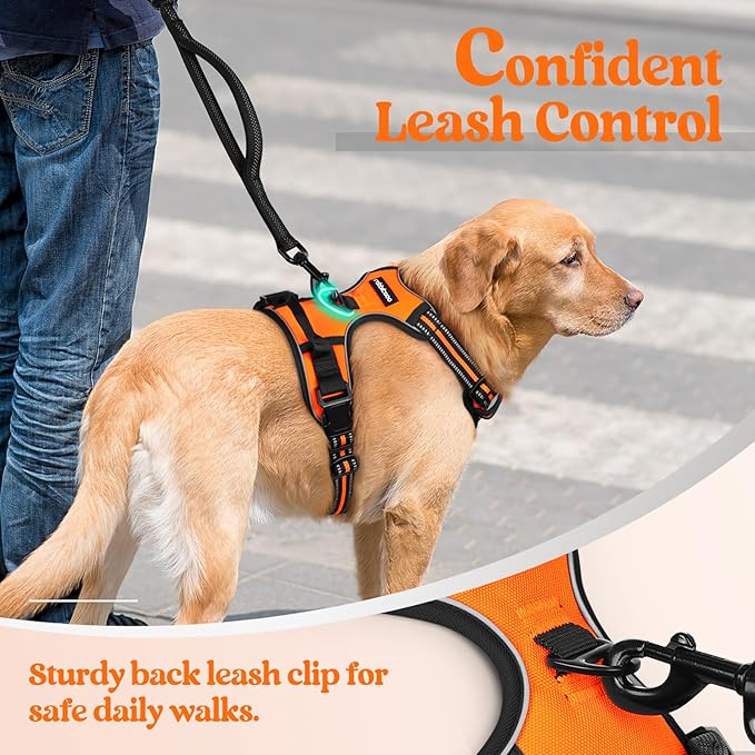 rabbitgoo Dog Harness No Pull with 2 Leash Clips, Adjustable Soft Padded, Reflective Oxford No Choke Pet Vest with Easy Control Handle for Large Dogs,Orange,L