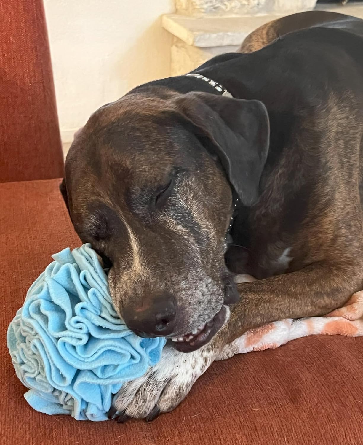 Glory To Dog Medium Breed Snuffle Interactive Foraging Dog Puzzle Ball Toy Blue Large