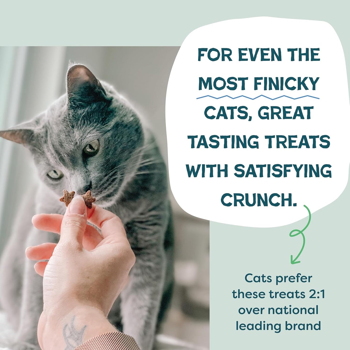 Shameless Pets Crunchy Cat Treats - Kitty Treats for Cats with Digestive Support, Natural Ingredients Kitten Treats with Real Ingredients, Healthy Flavored Feline Snacks - Variety Pack, 3-Pk