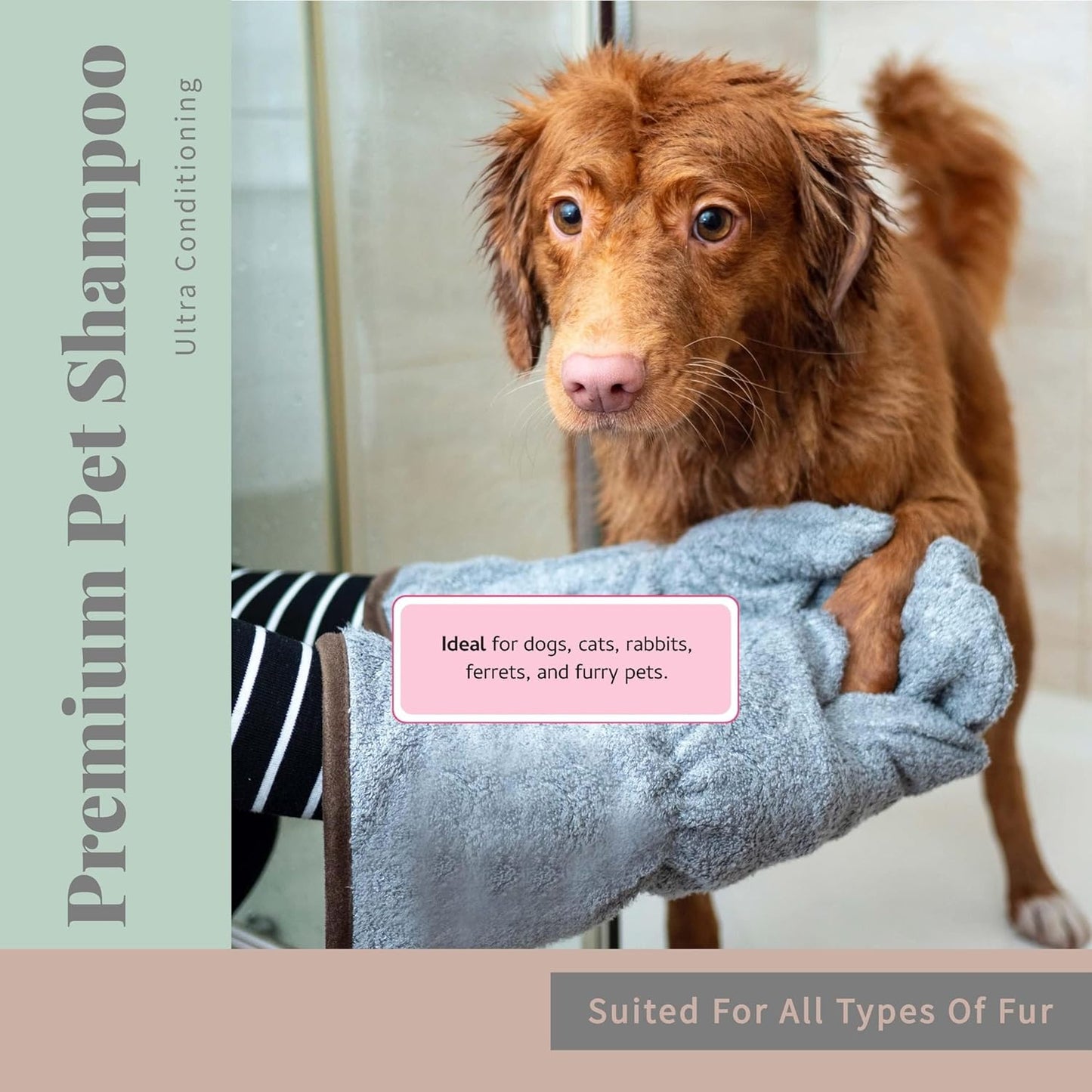 Begley's No Rinse Waterless Pet Shampoo, Bathless Cleaning, Deodorizing, and Odor Removal for a Shiny, Fresh Smelling Coat - Effective for Dogs, Puppies, and Cats - Fresh Tea Tree Scent