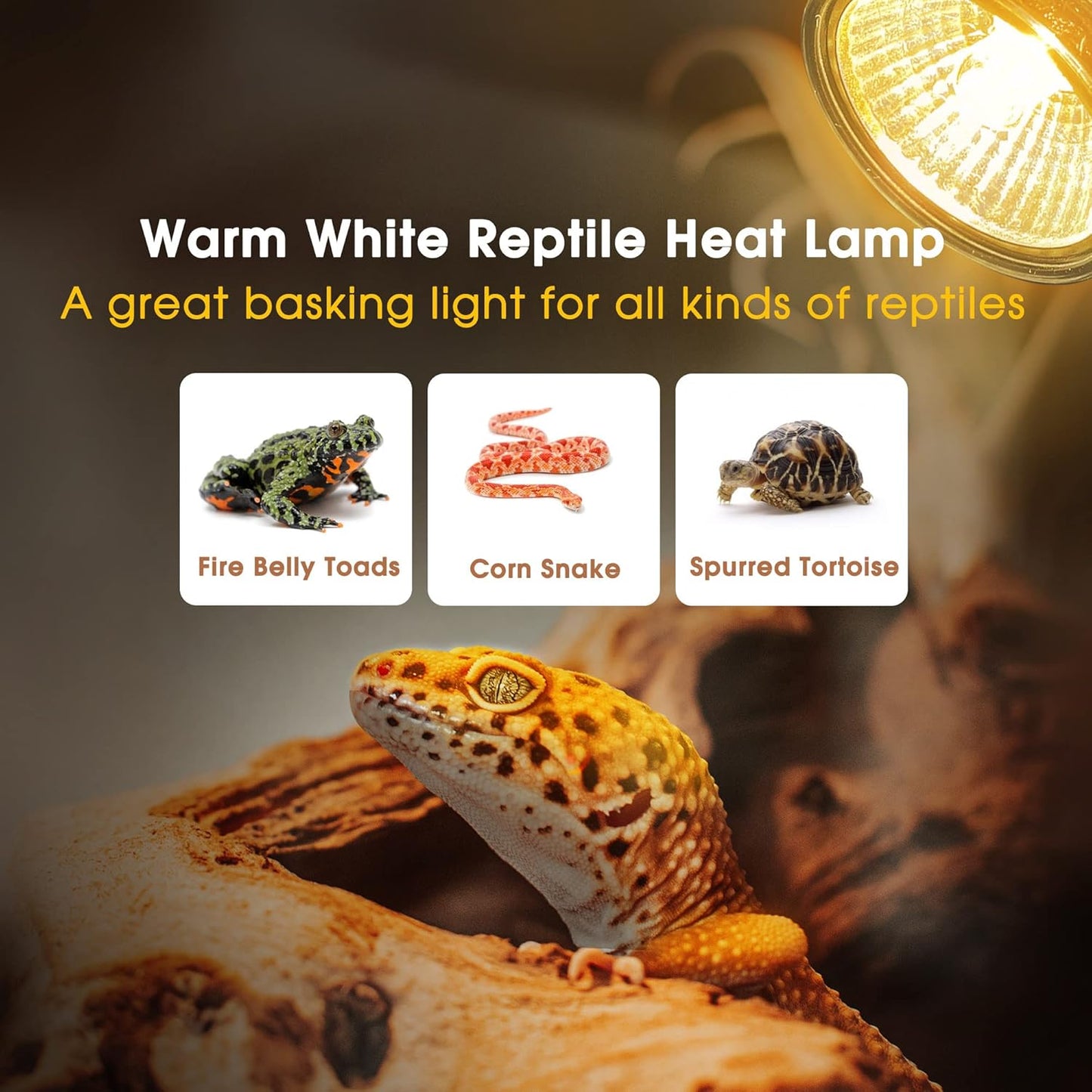 Briignite Reptile Heat Bulb 2 Pack, 50W UVA UVB Reptile Light Bulbs, Dimmable Heat Lamp Bulbs, Basking Light Bulb for Turtle, Beard Dragon Gecko Lizard Amphibians