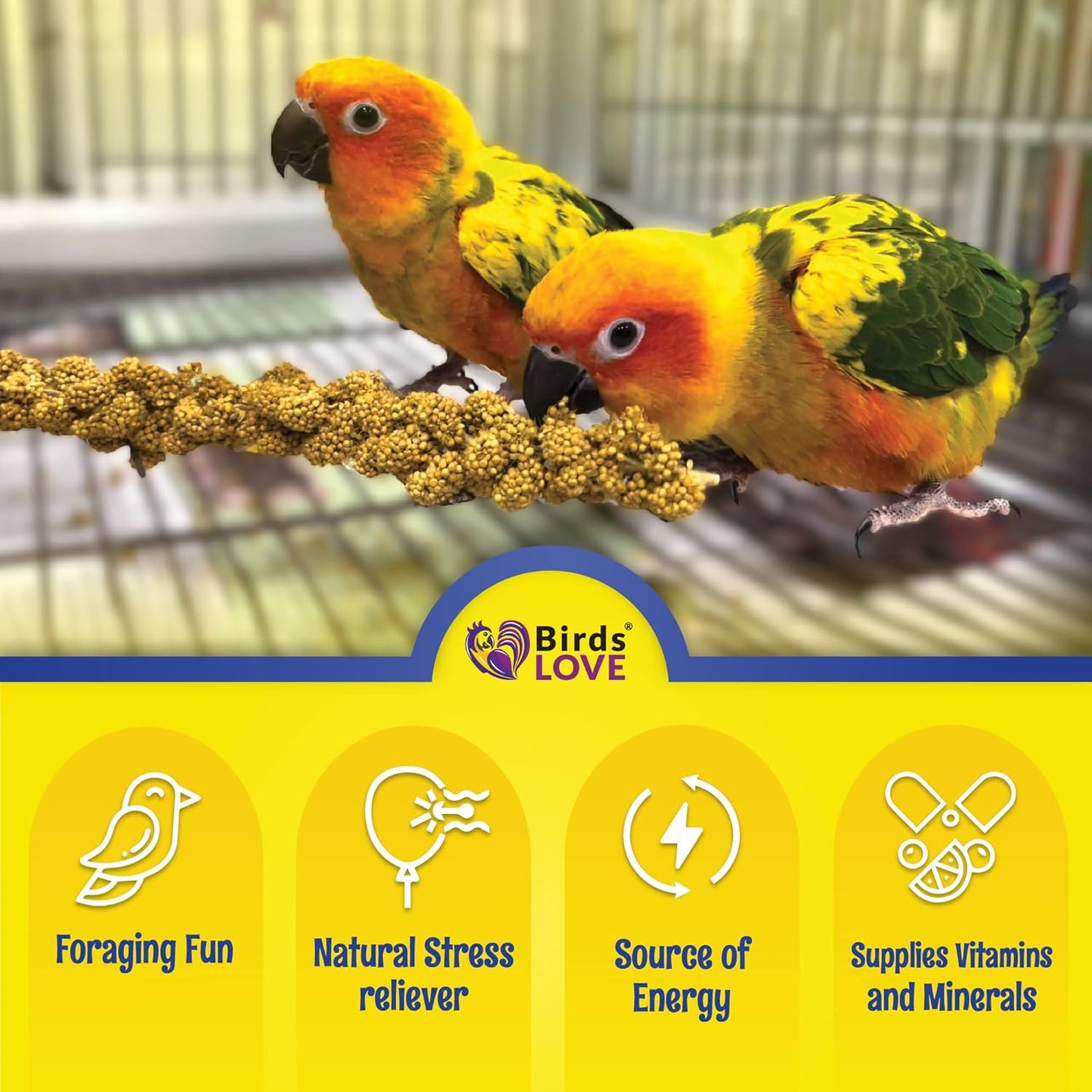 Birds LOVE Economy & Thin Special Spray Millet GMO-Free (No Stems Only Edible Tops) for Birds Cockatiel Lovebird Parakeet Finch Canary All Parrots Healthy Treat - 25lbs