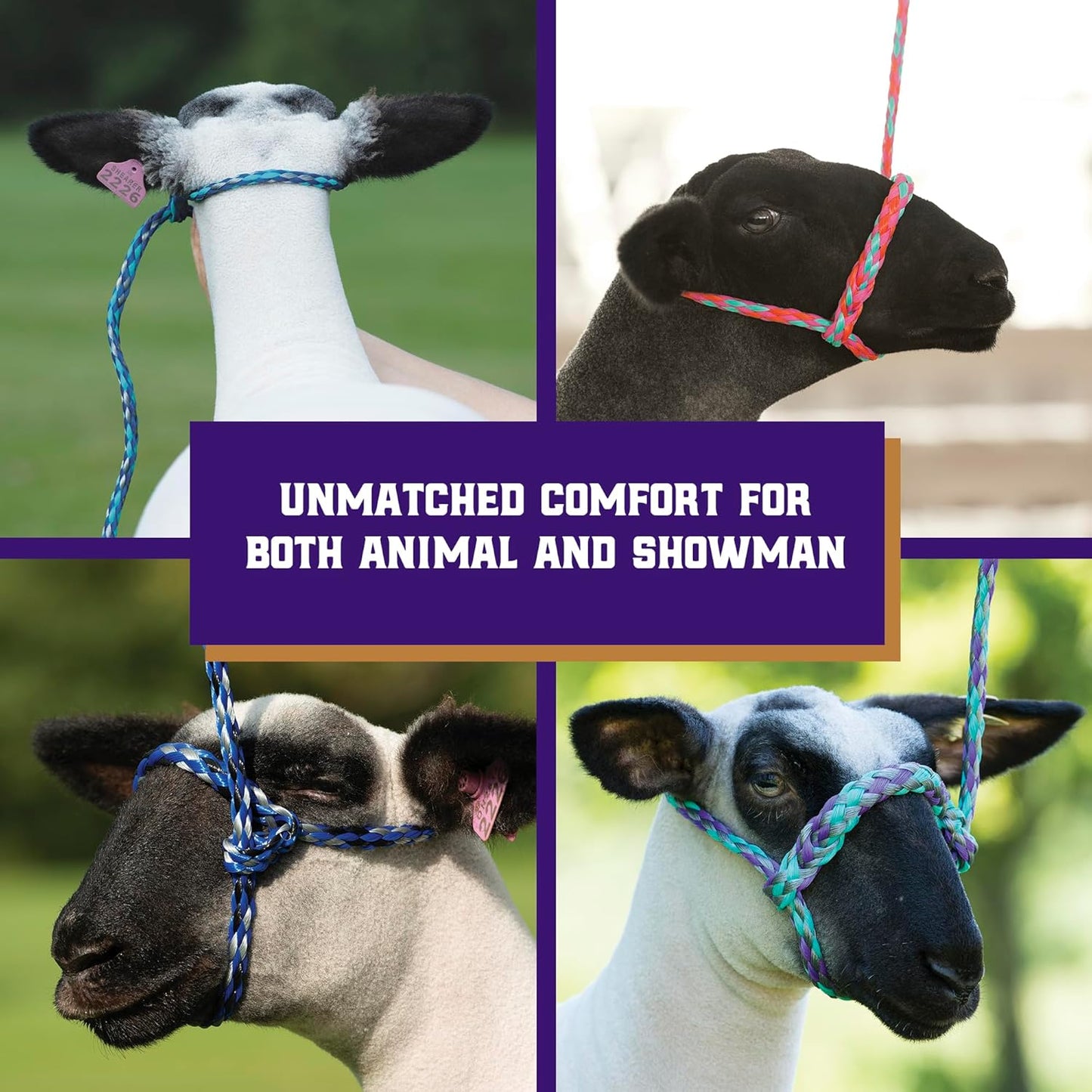 Weaver Leather Livestock Poly Rope Sheep Halter, Black