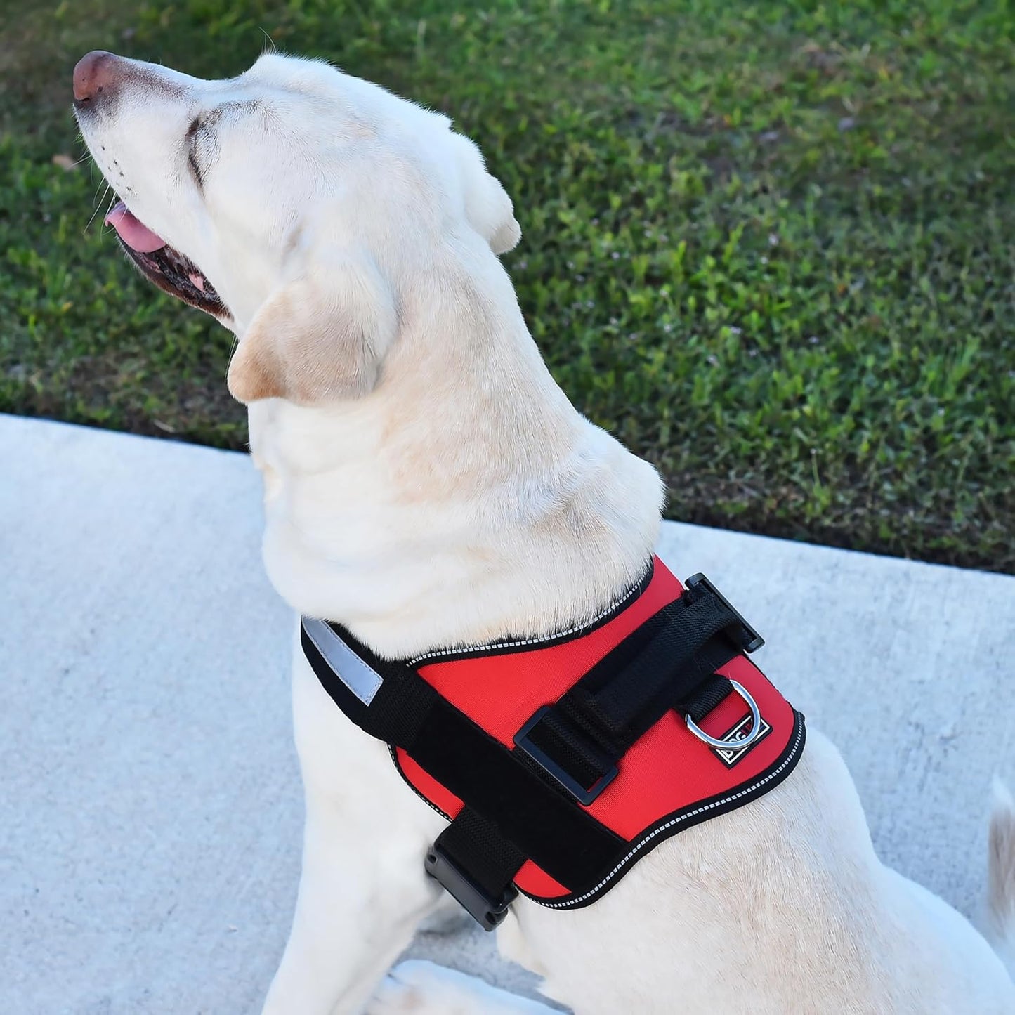 Dogline Dog Harness, Reflective No-Pull Adjustable Vest with Handle for Walking, Training, Service Breathable No - Choke Harness for Small, Medium or Large Dogs Room for Patches Girth 18 to 24 in Red