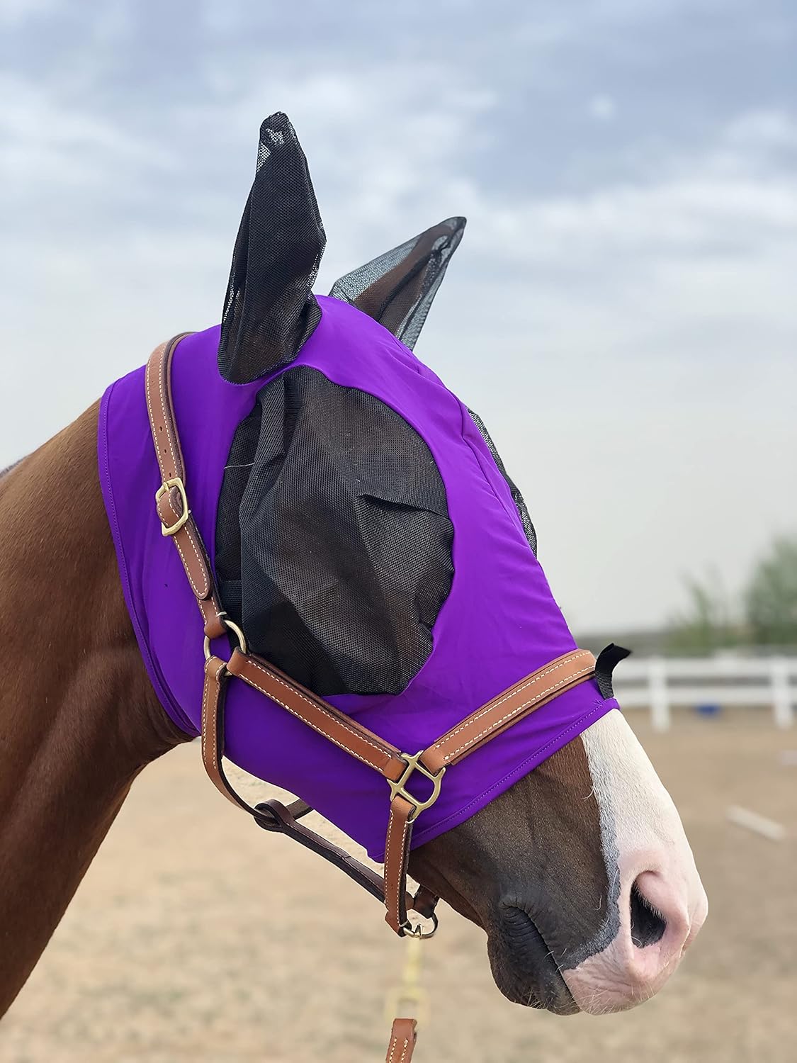 Horse Fly Mask Super Comfort Horse Fly Mask Elasticity Fly Mask with Ears We Only Make Products That Horses Like… (Dk Purple, L)