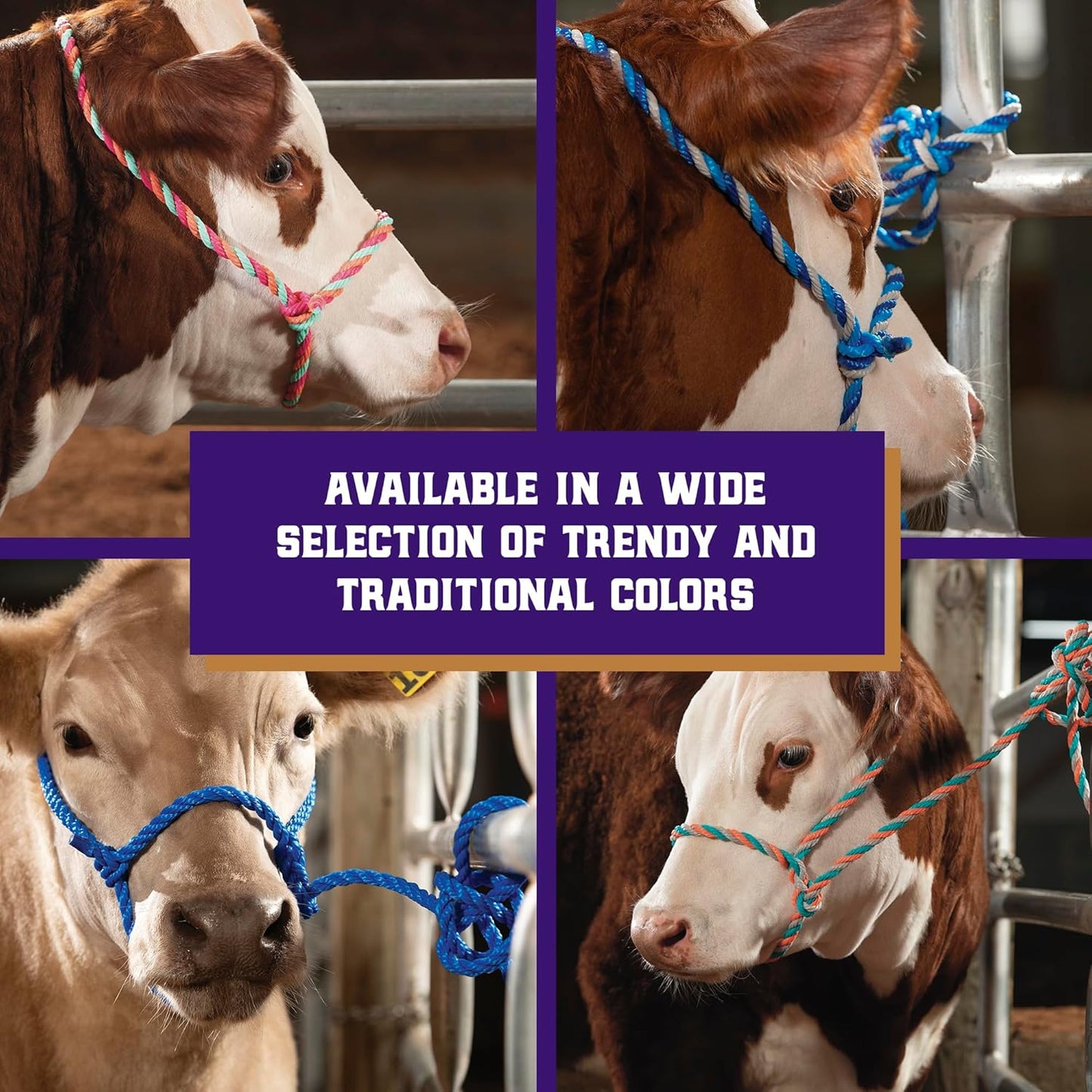 Weaver Leather Livestock Cattle Poly Rope Halter