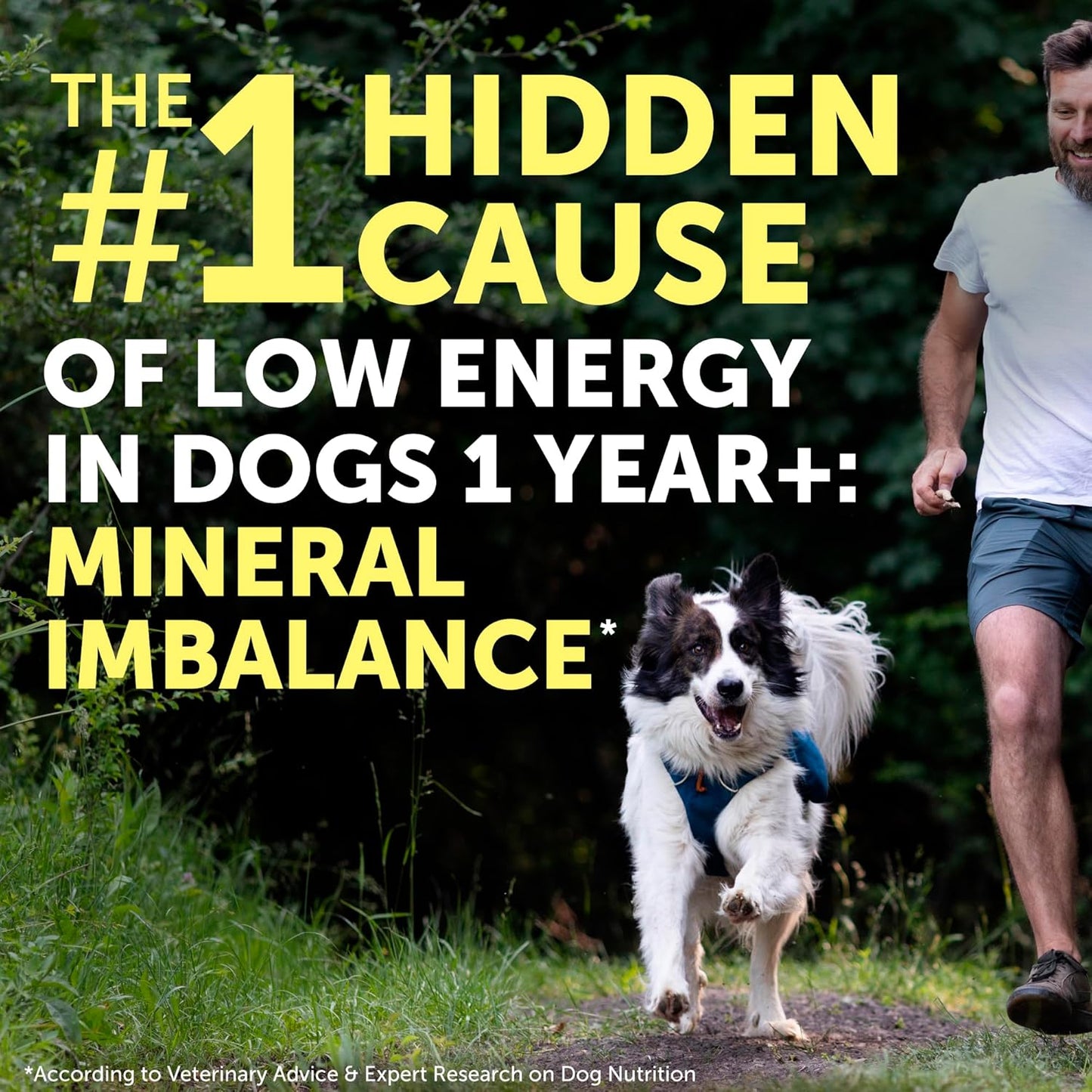 Nature's Protection Dog Joint Supplement - Mineral Powder Supplement for Pet Muscle Recovery, Stronger Bones, Immune & Gut Health for Dogs & Cats of All Breeds, 9 Oz